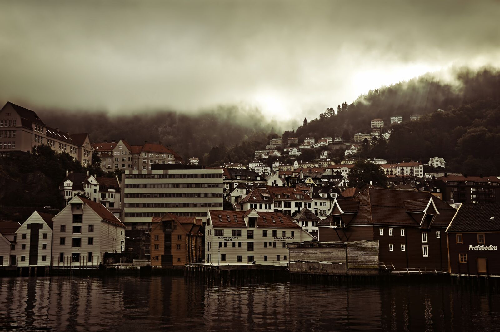 Nikon D3200 sample photo. Morgenstimmung, fog, lighting photography