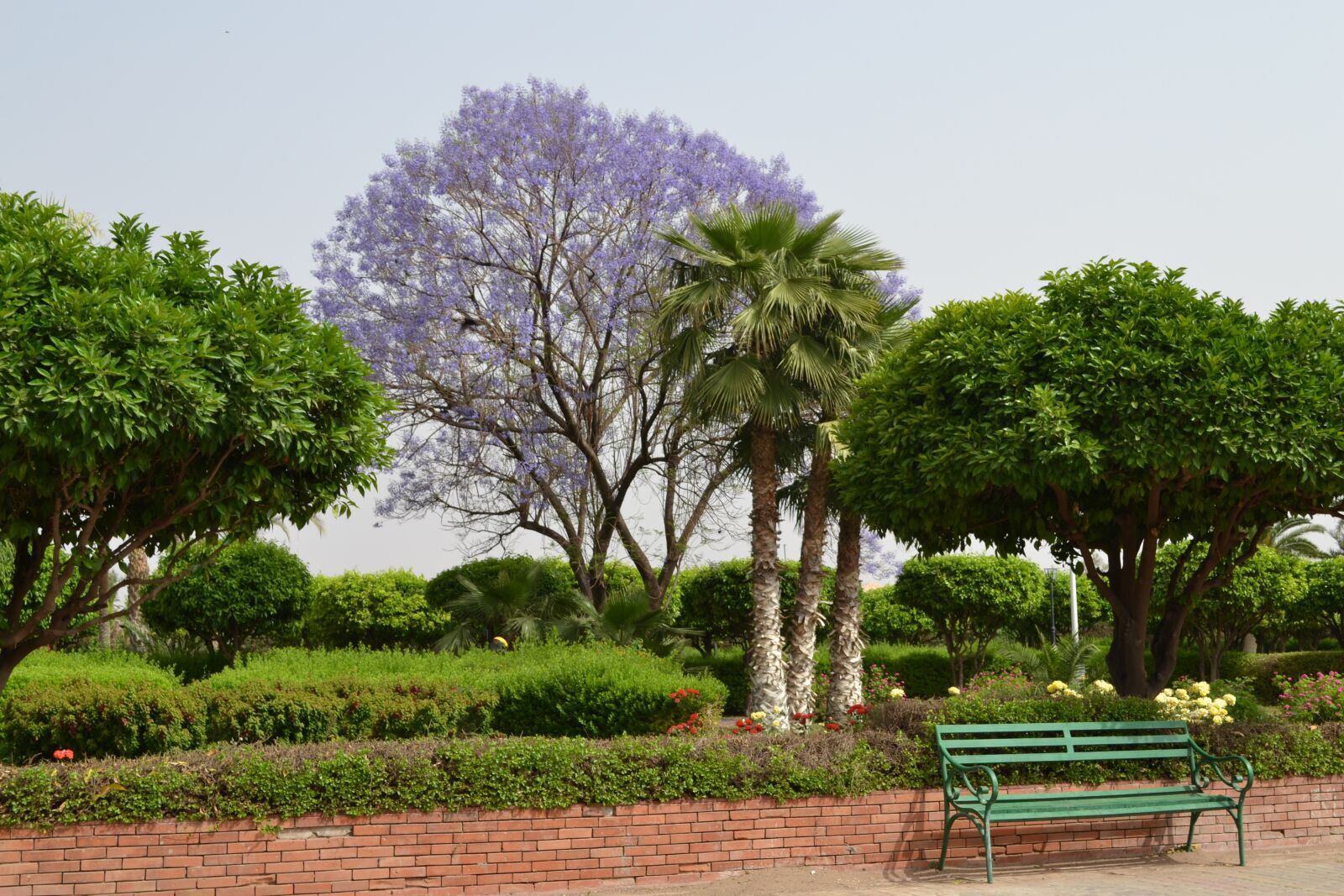 Nikon D3100 sample photo. Nature, tree, chair photography