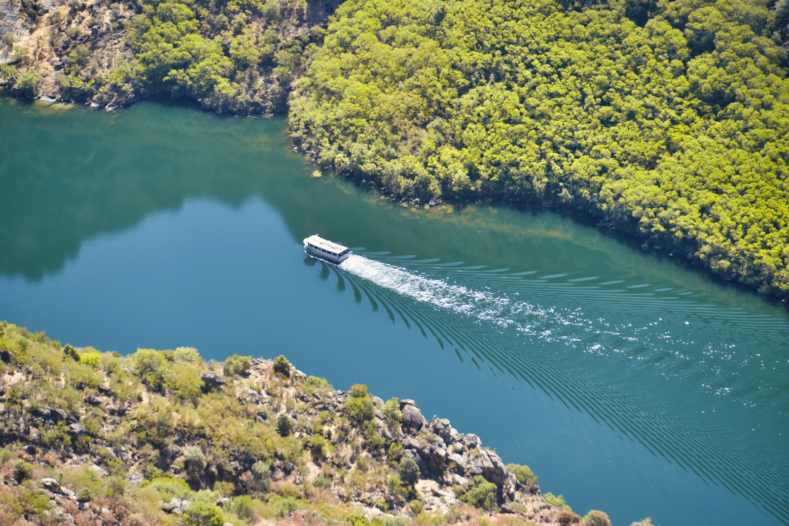 Nikon D810 sample photo. Boat, rio, water photography