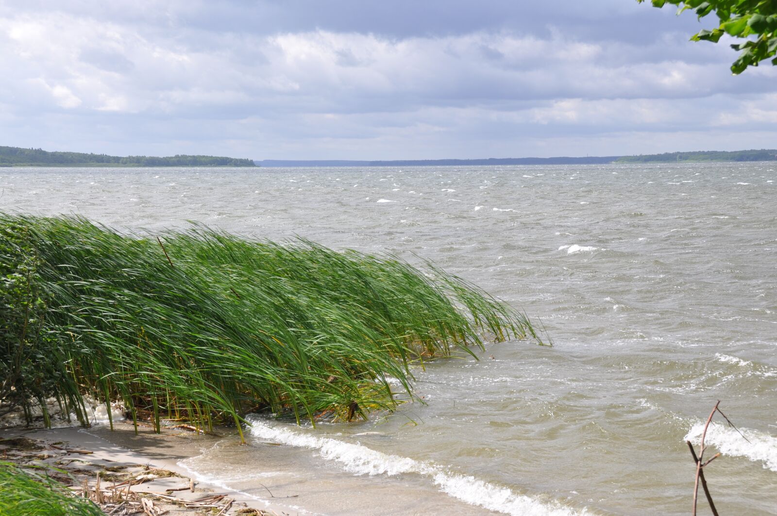 Nikon D90 sample photo. Waves of storm, plauer photography