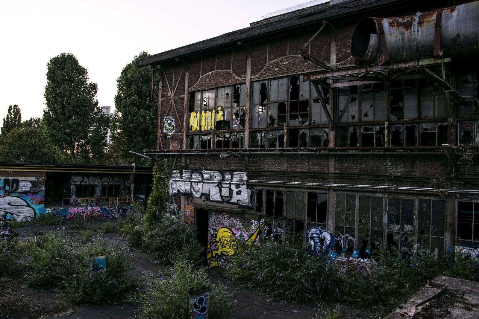 Nikon D5300 sample photo. Forget, lost, place photography