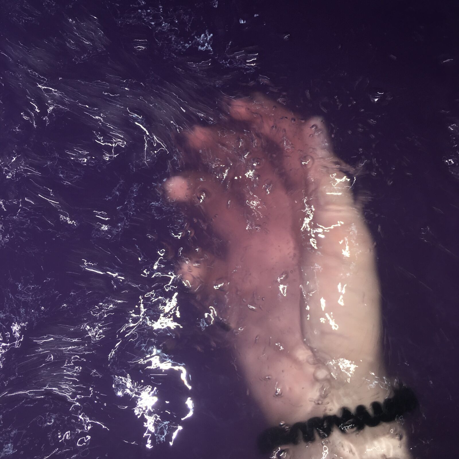 Apple iPhone 6s sample photo. Water, aesthetics, purple photography