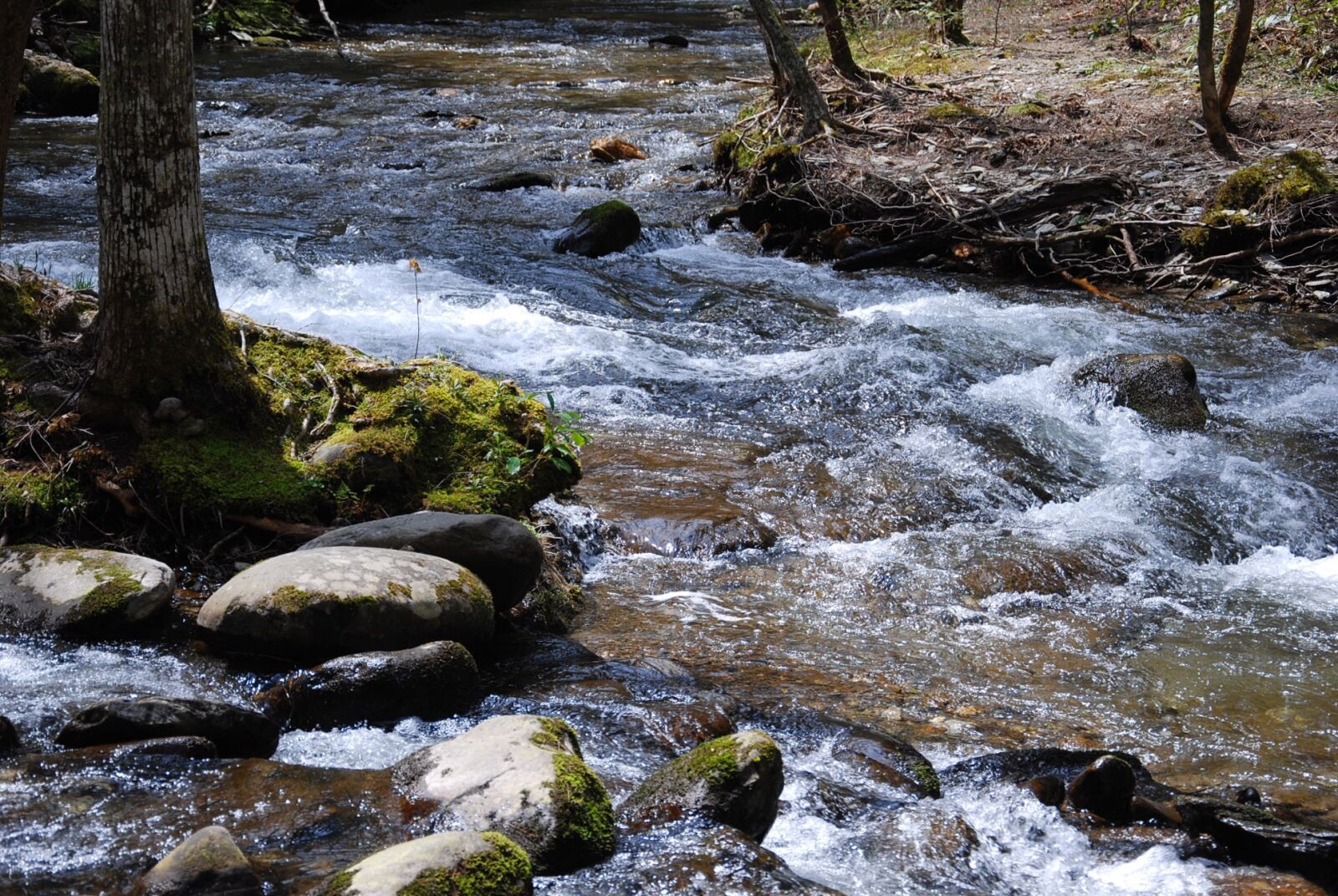 Nikon D60 sample photo. Mountain, stream, rock photography