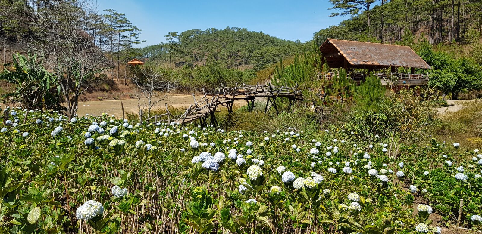 Samsung Galaxy S8+ sample photo. Dalat cu lan village photography