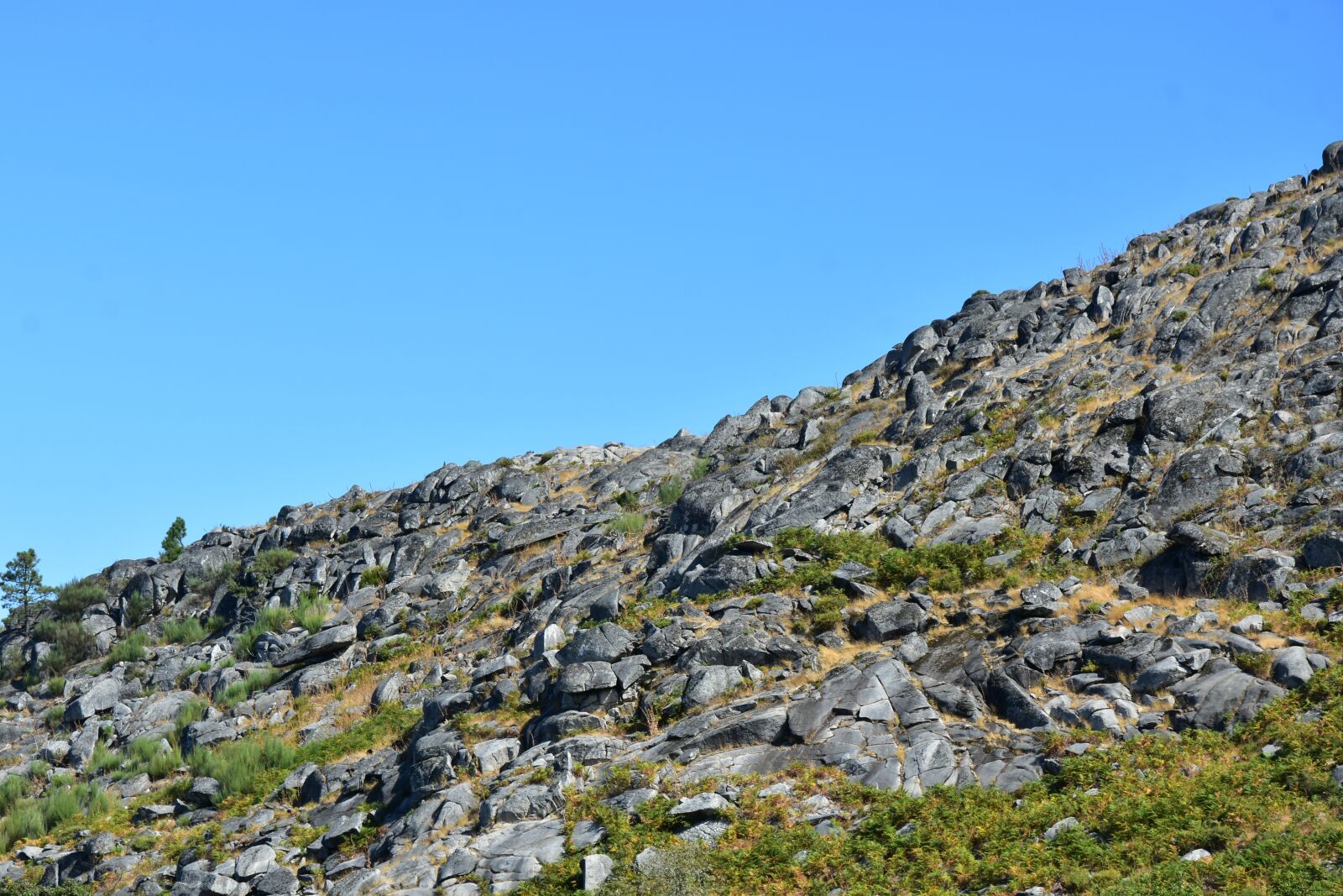 Nikon D3400 sample photo