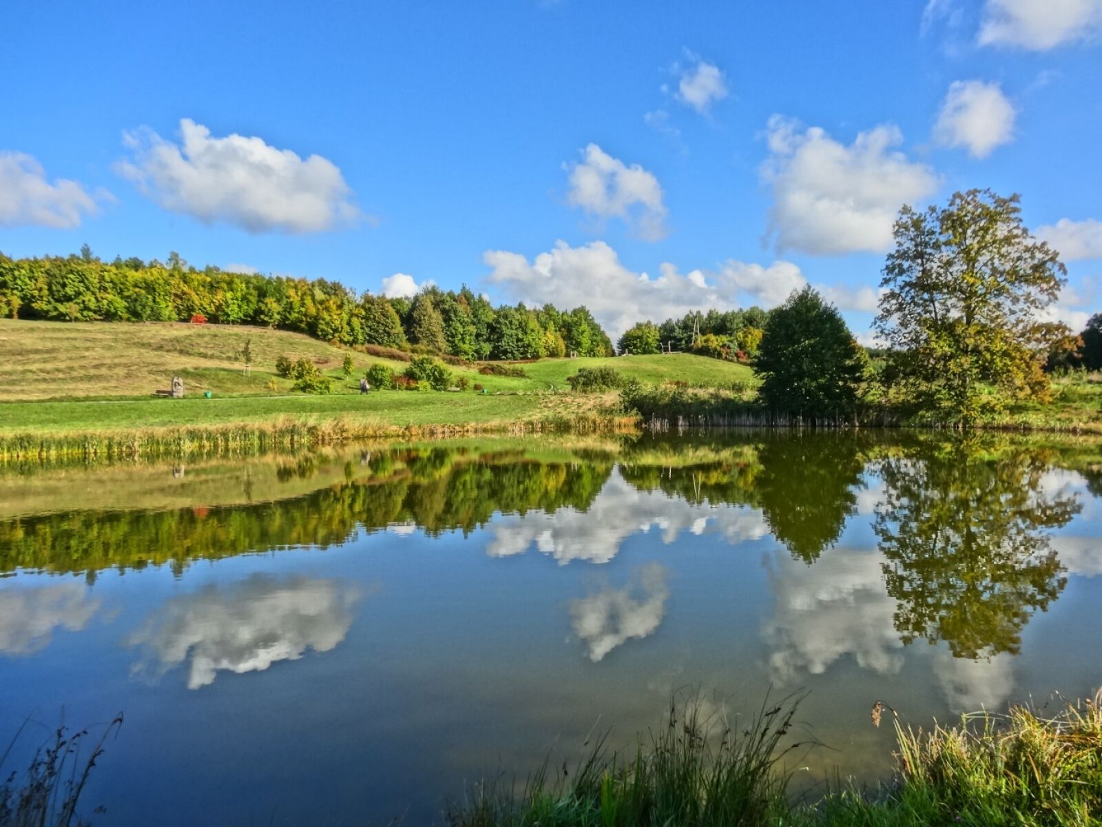 Sony Cyber-shot DSC-HX20V sample photo. Bydgoszcz, botanical garden, lake photography
