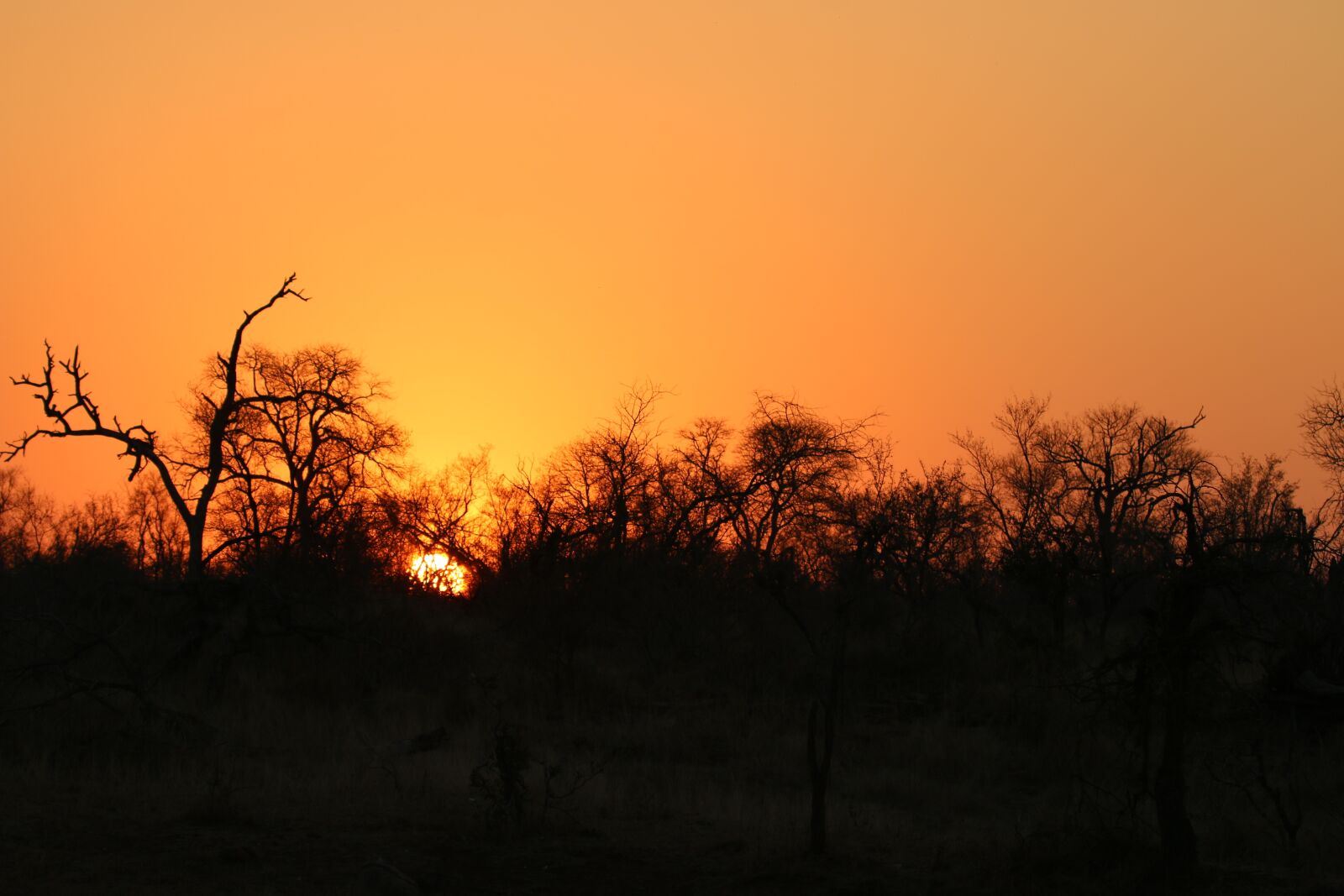 Canon EF 100-400mm F4.5-5.6L IS USM sample photo. Africa, sunset, safari photography