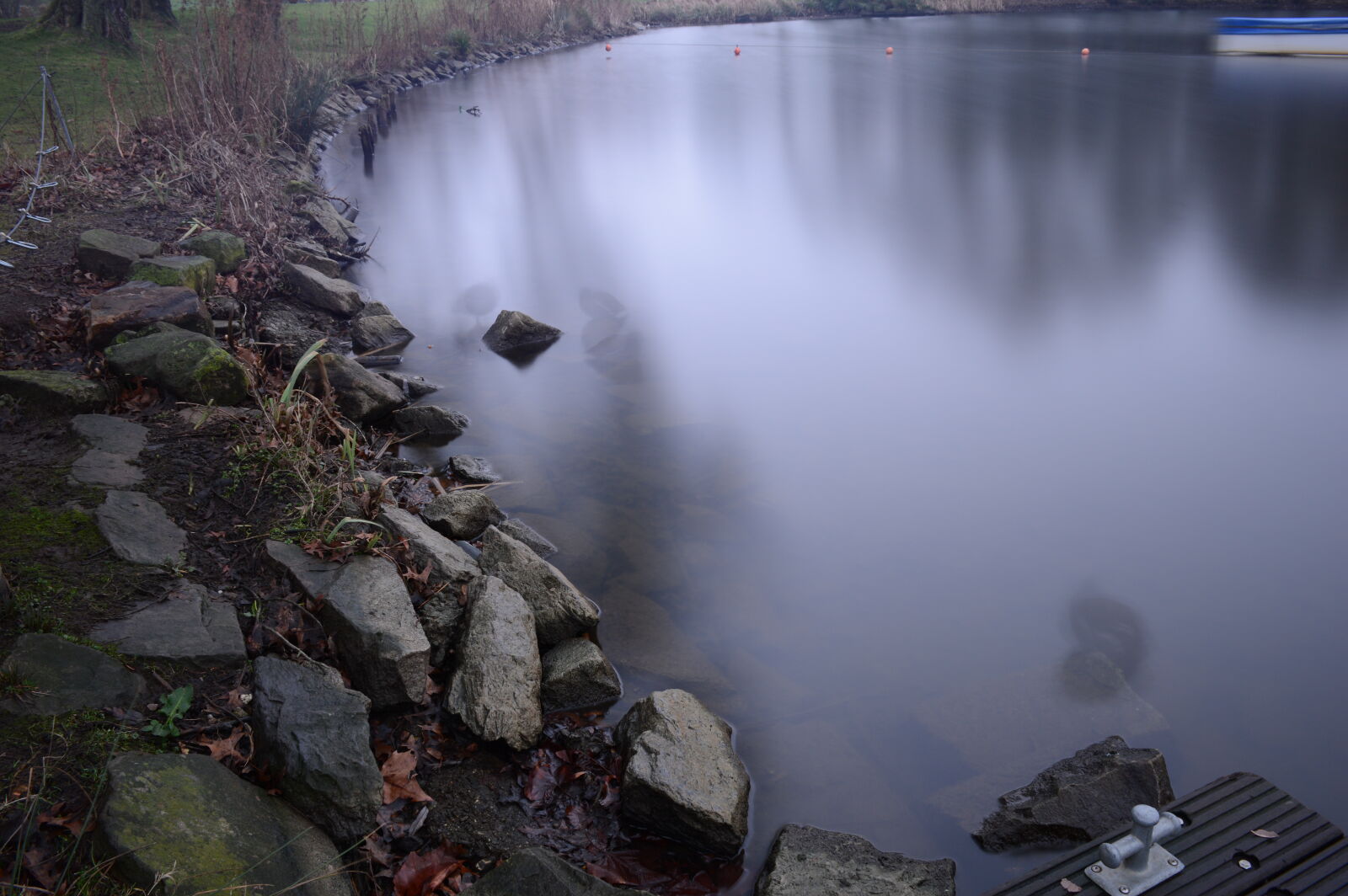 Nikon D3200 sample photo