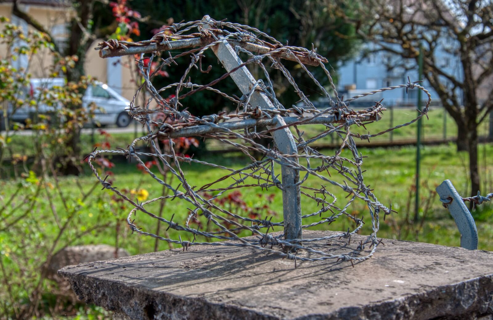 Nikon D5000 sample photo. Fence, barbed wire, demarcation photography
