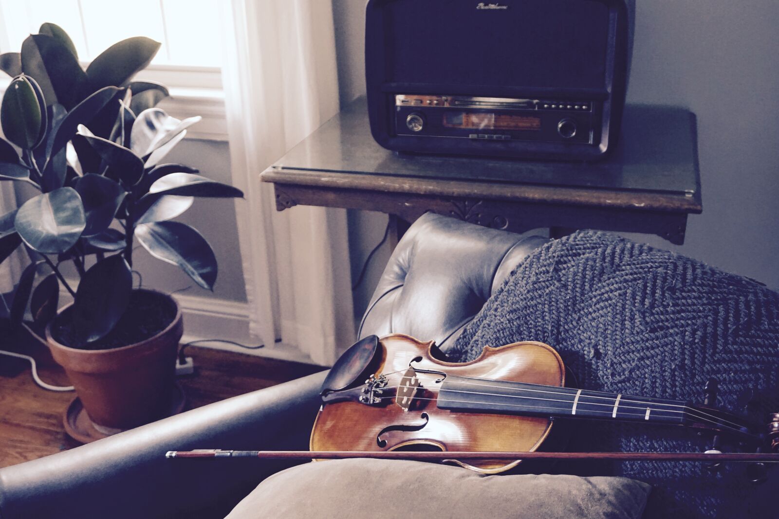 Sony a6000 sample photo. Violin, room, quiet photography