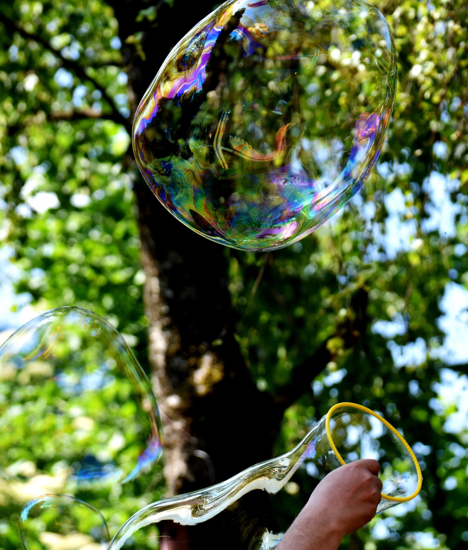 Nikon D7200 sample photo. Soap bubble, huge, large photography