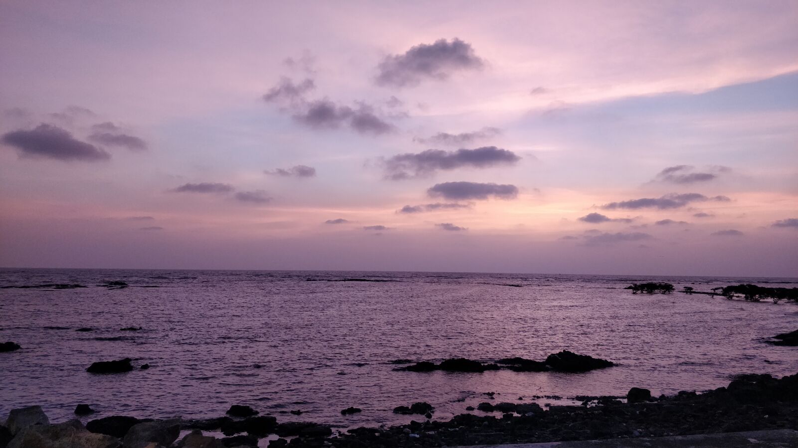 OnePlus 5 sample photo. Nature, landscape, water photography
