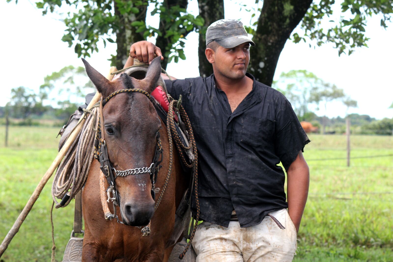 Canon EOS 550D (EOS Rebel T2i / EOS Kiss X4) sample photo. Peasant, horse, field photography