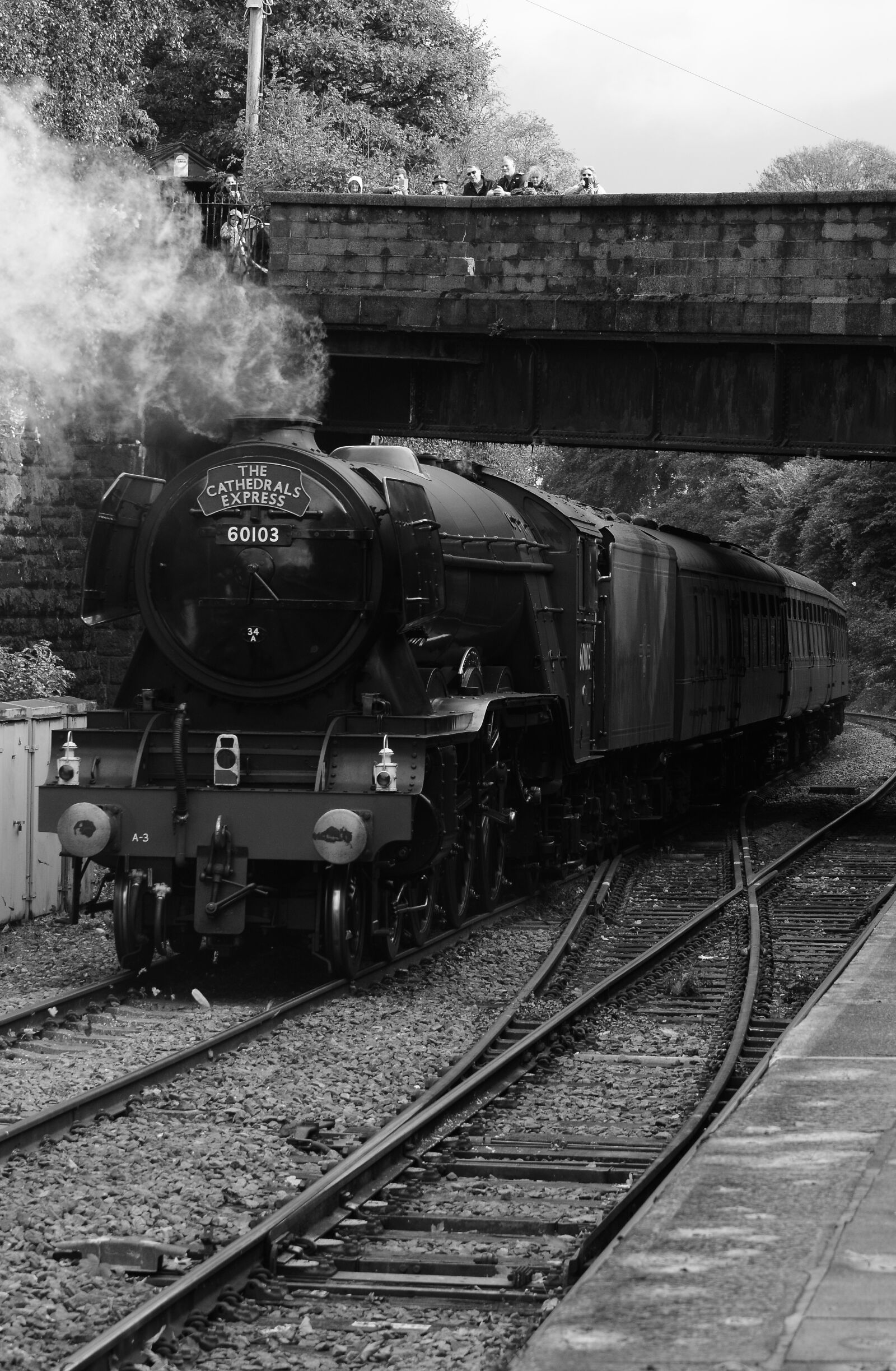Nikon D7100 sample photo. Flying, scotsman, train photography