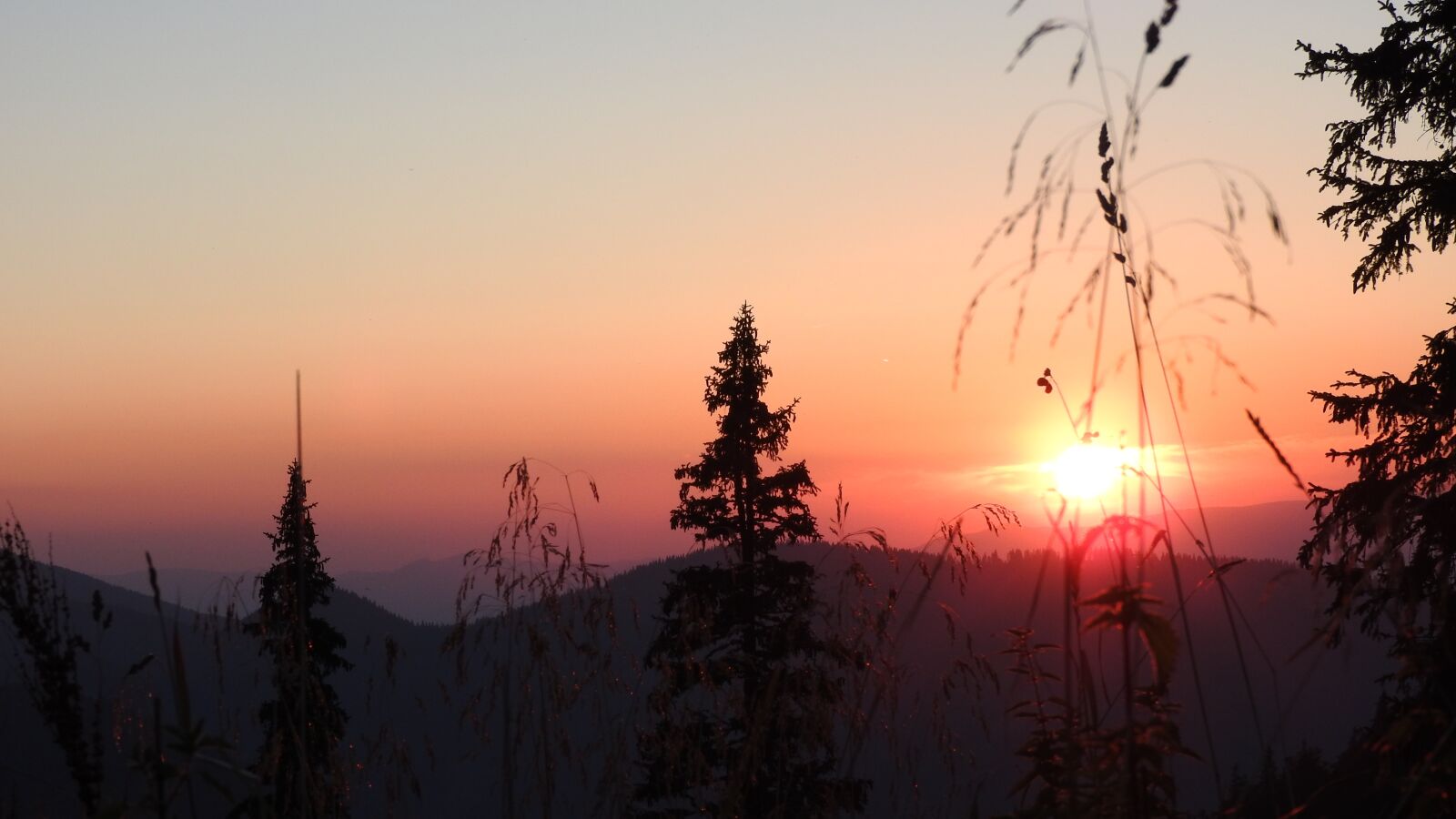 Nikon Coolpix P610 sample photo. In the evening, country photography