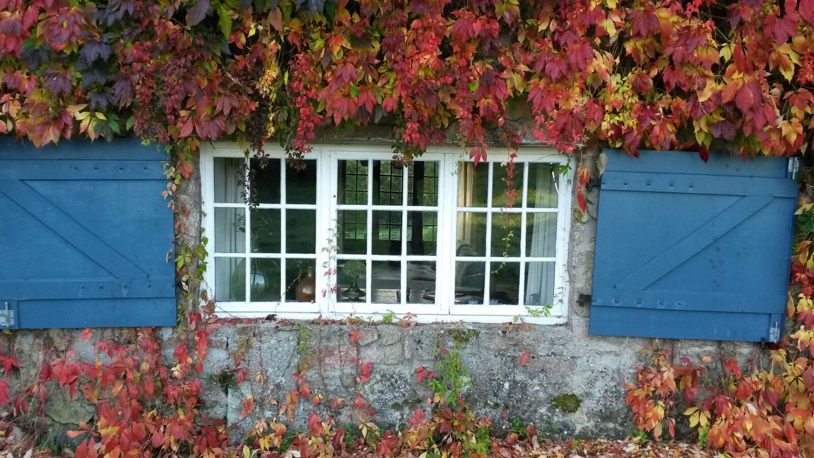 Samsung Galaxy S4 Mini sample photo. Window, blue, rest photography