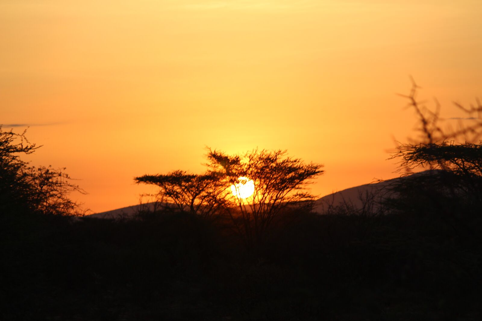 Canon EOS 1300D (EOS Rebel T6 / EOS Kiss X80) + Canon EF-S 55-250mm F4-5.6 IS II sample photo. Sunset, africa, sky photography