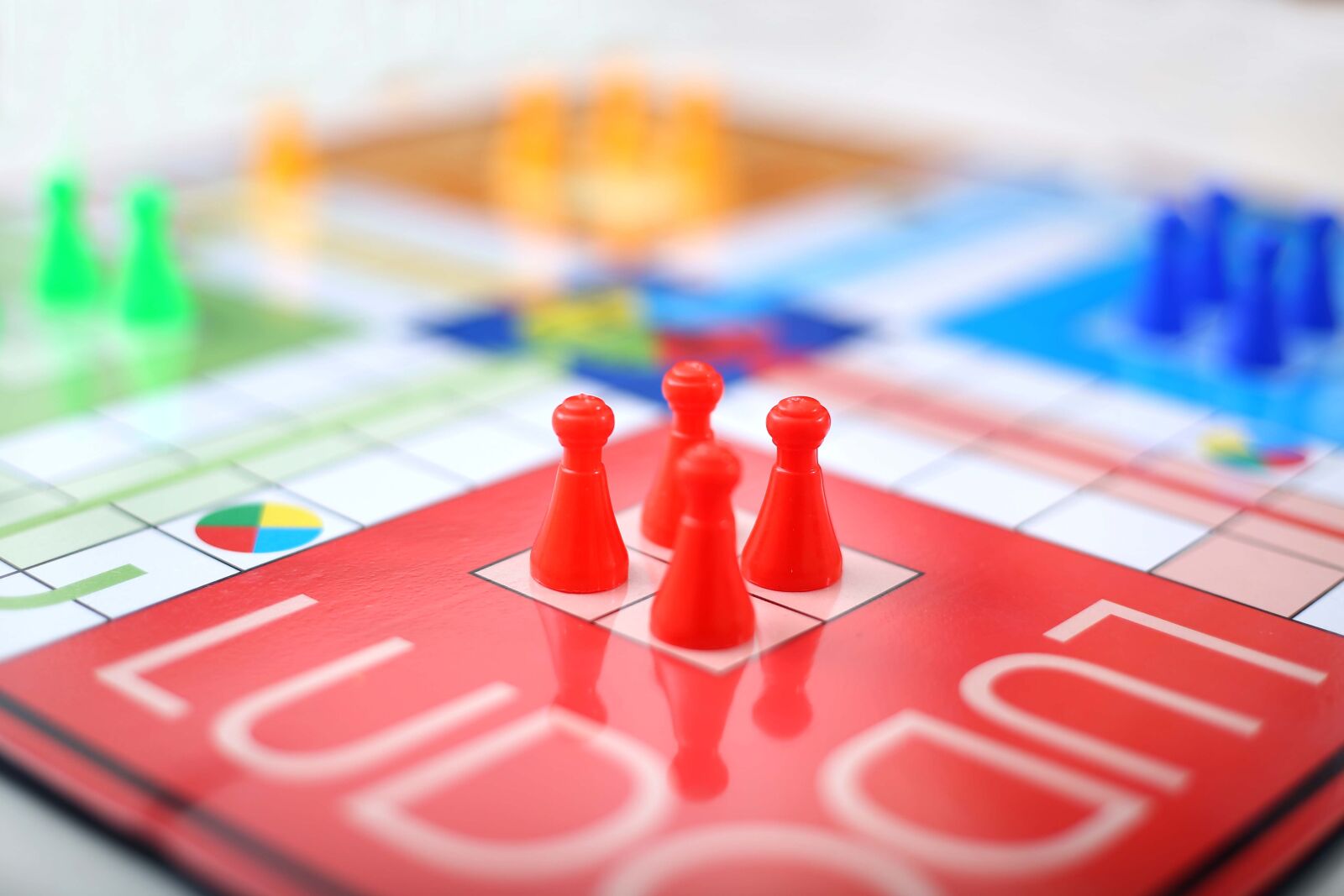 Canon EF 50mm F1.8 STM sample photo. Gamble, playful, chance photography