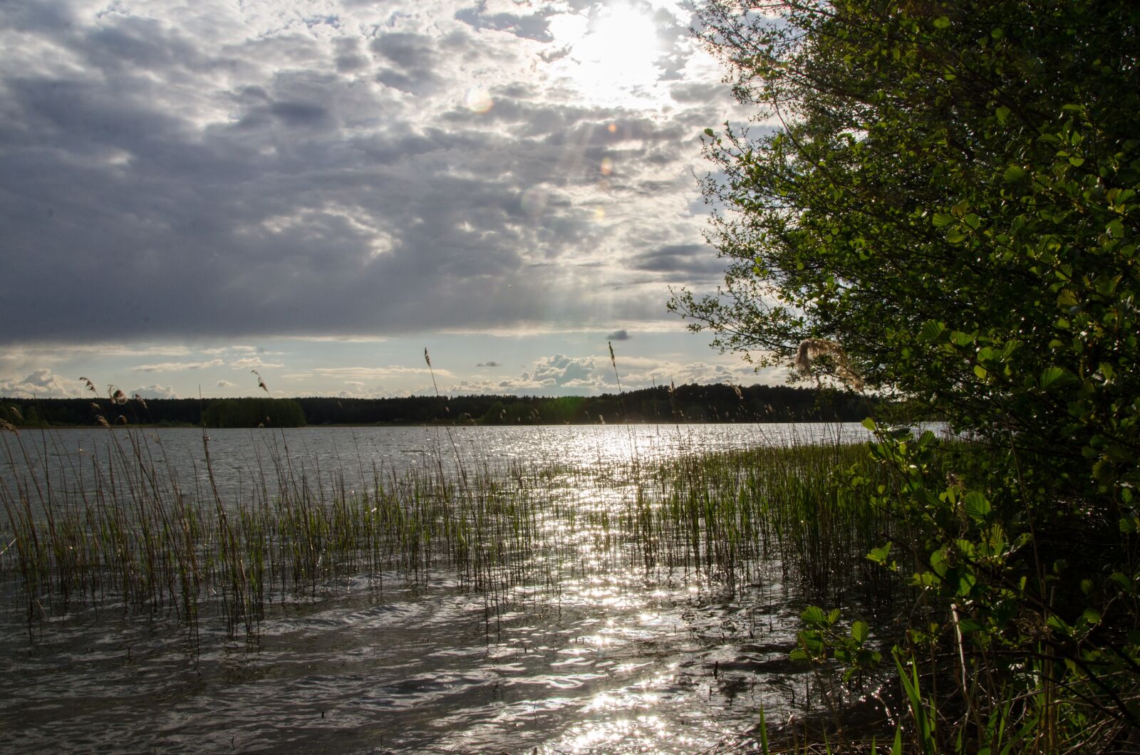 Nikon D7000 sample photo. Water, nature, summer photography