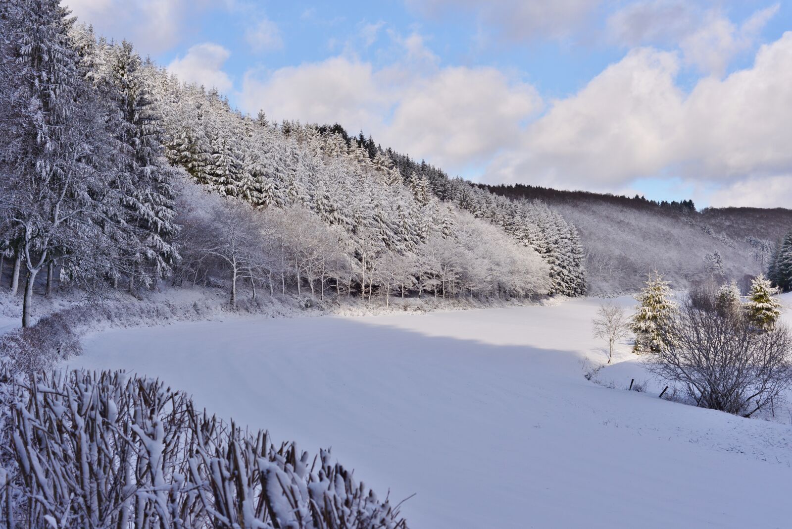 Nikon D600 sample photo. Snow landscape, winter landscape photography
