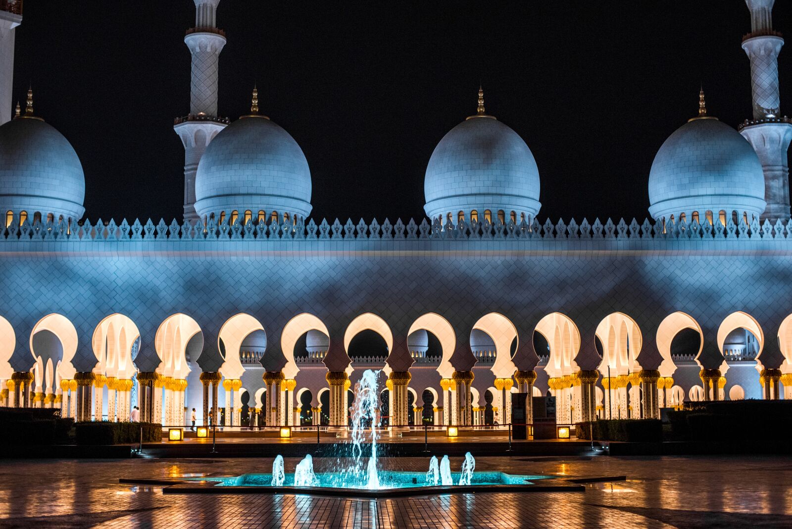 Nikon D750 sample photo. Uae, abu dhabi, sheikh photography