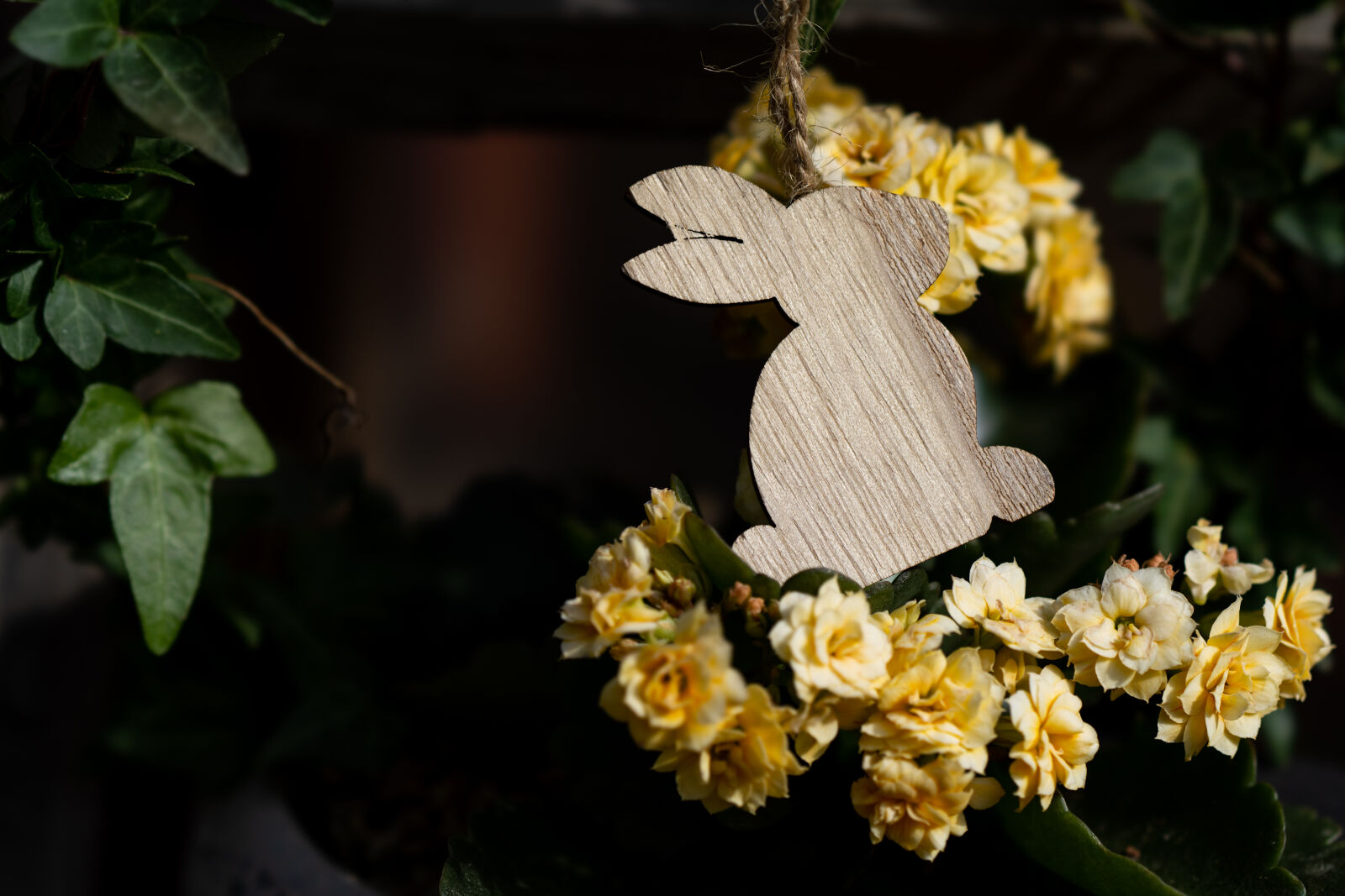Sony FE 100mm F2.8 STF GM OSS sample photo. Wooden easter photography