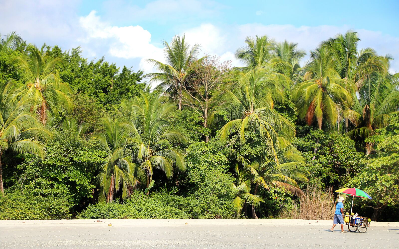 Canon EOS 1300D (EOS Rebel T6 / EOS Kiss X80) sample photo. Beach, palm trees, vacations photography