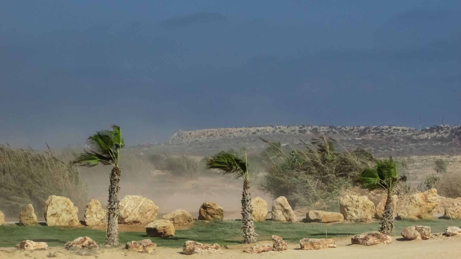 Canon PowerShot SX400 IS sample photo. Wind, dust, weather photography