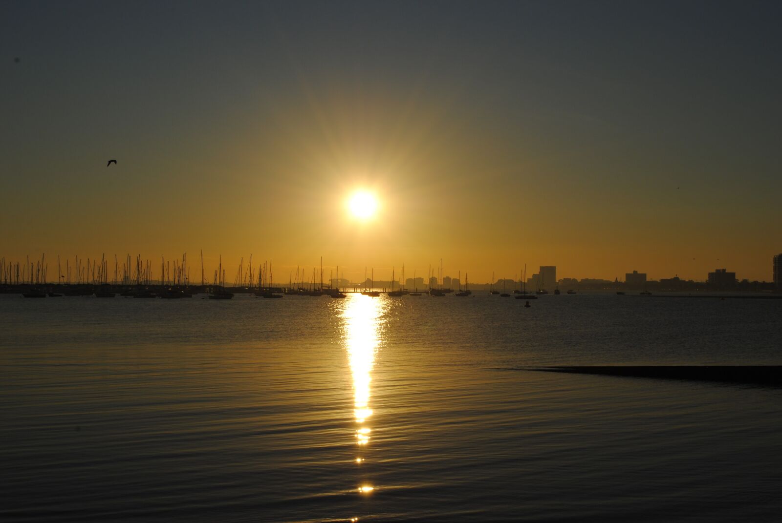 Nikon D3000 sample photo. Sea, water, tranquil photography