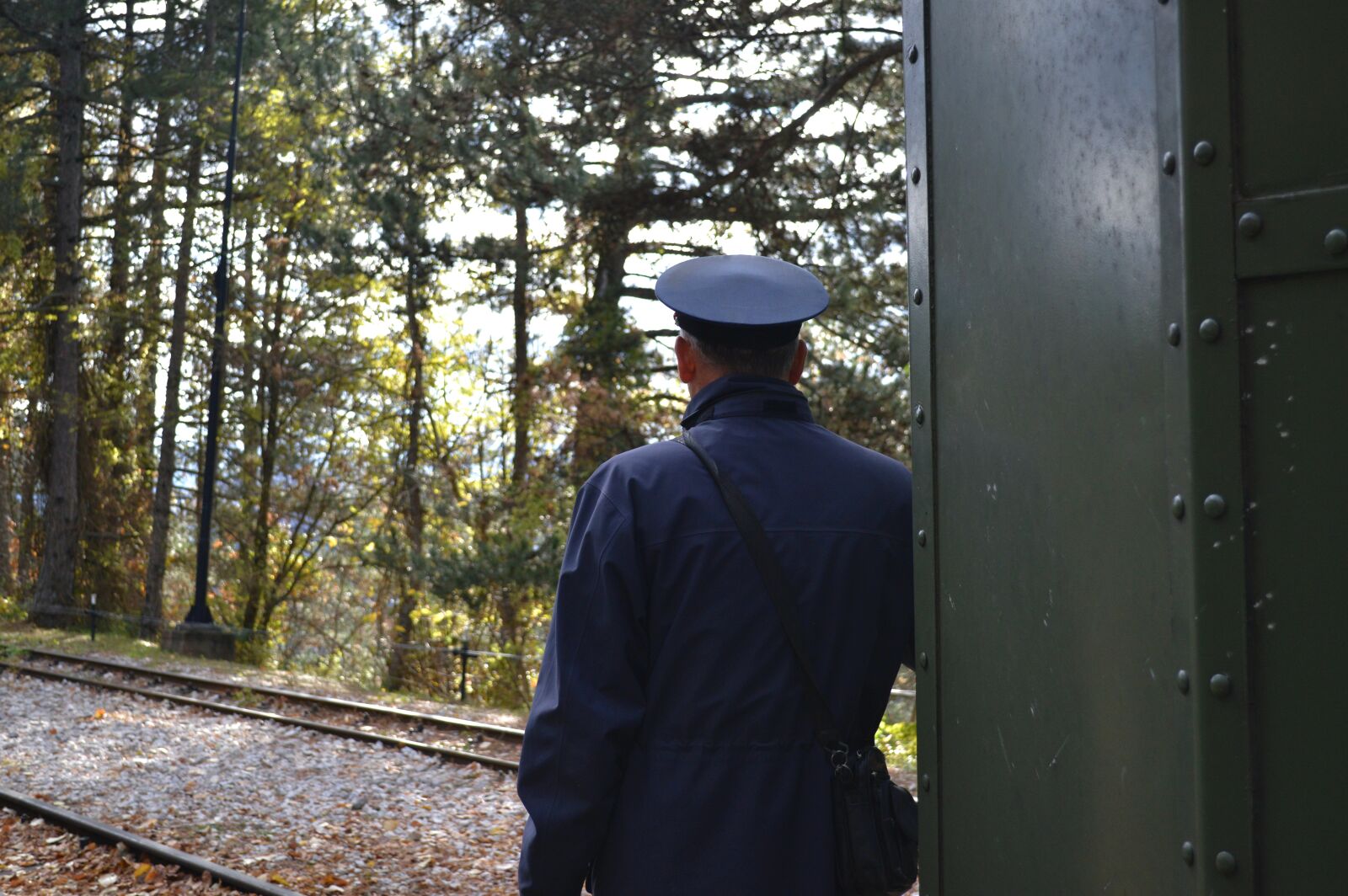 Nikon D3200 sample photo