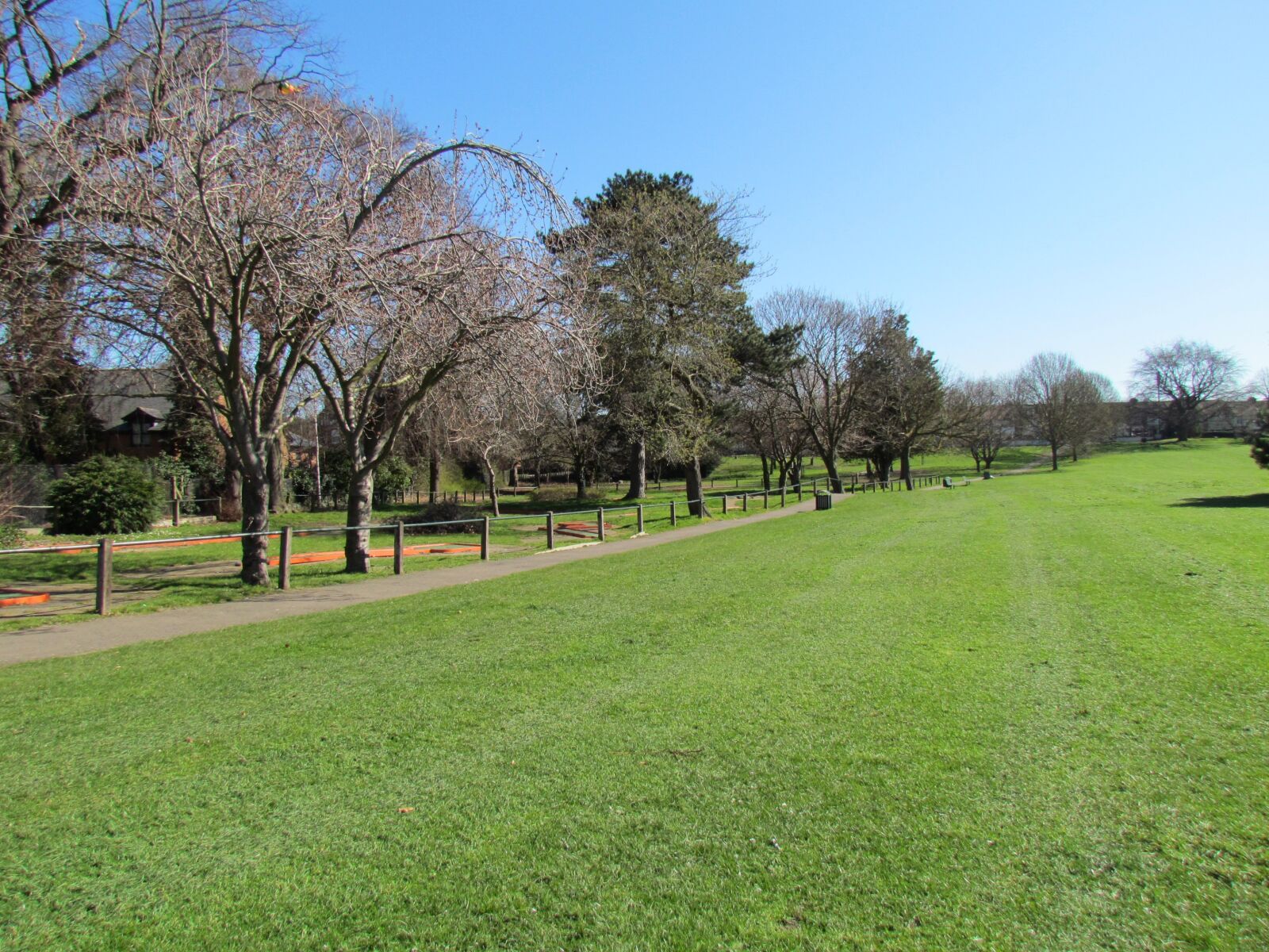 Canon PowerShot SX30 IS sample photo. Trees, summer, park photography