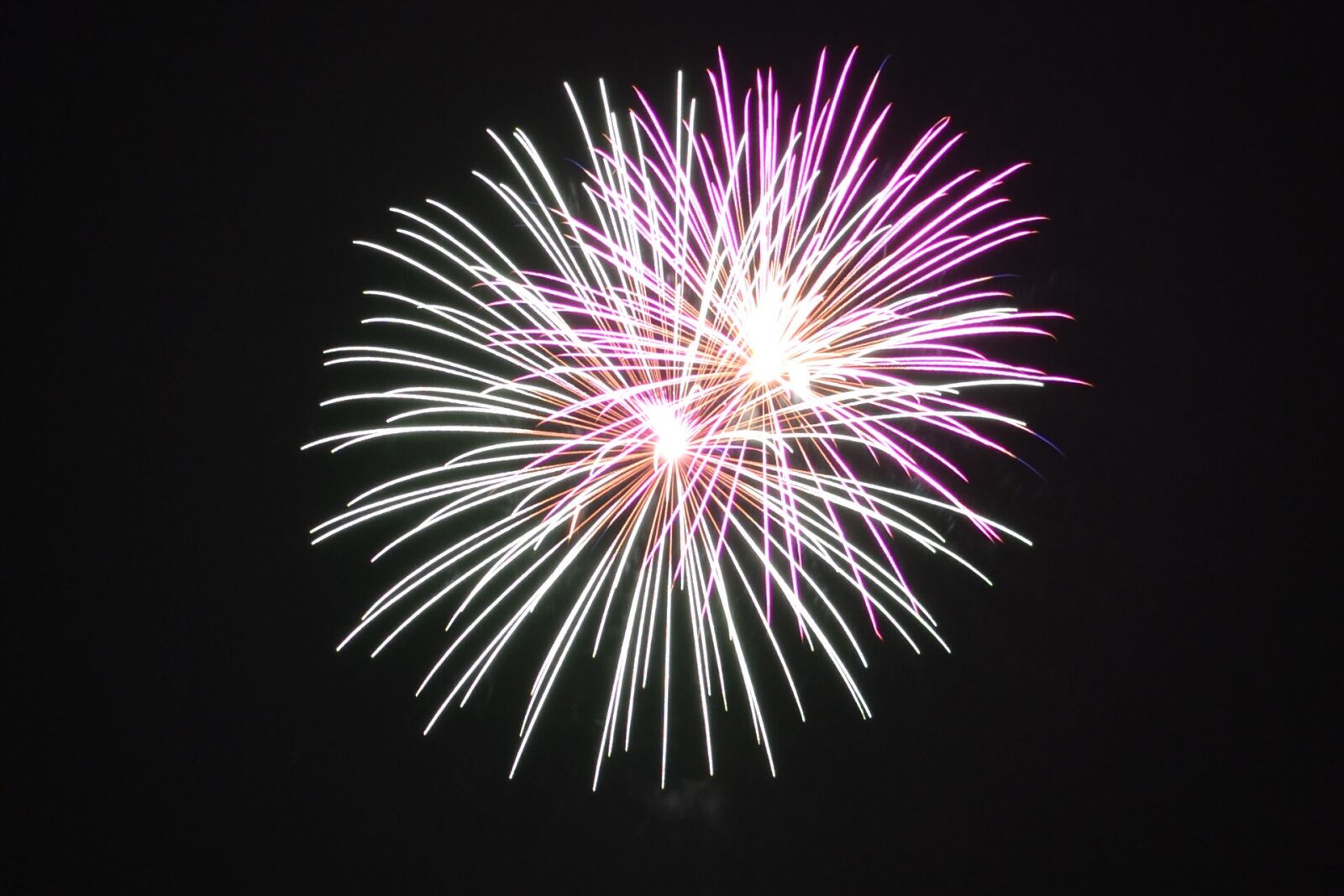 Nikon D3100 sample photo. Firework, fourth of july photography