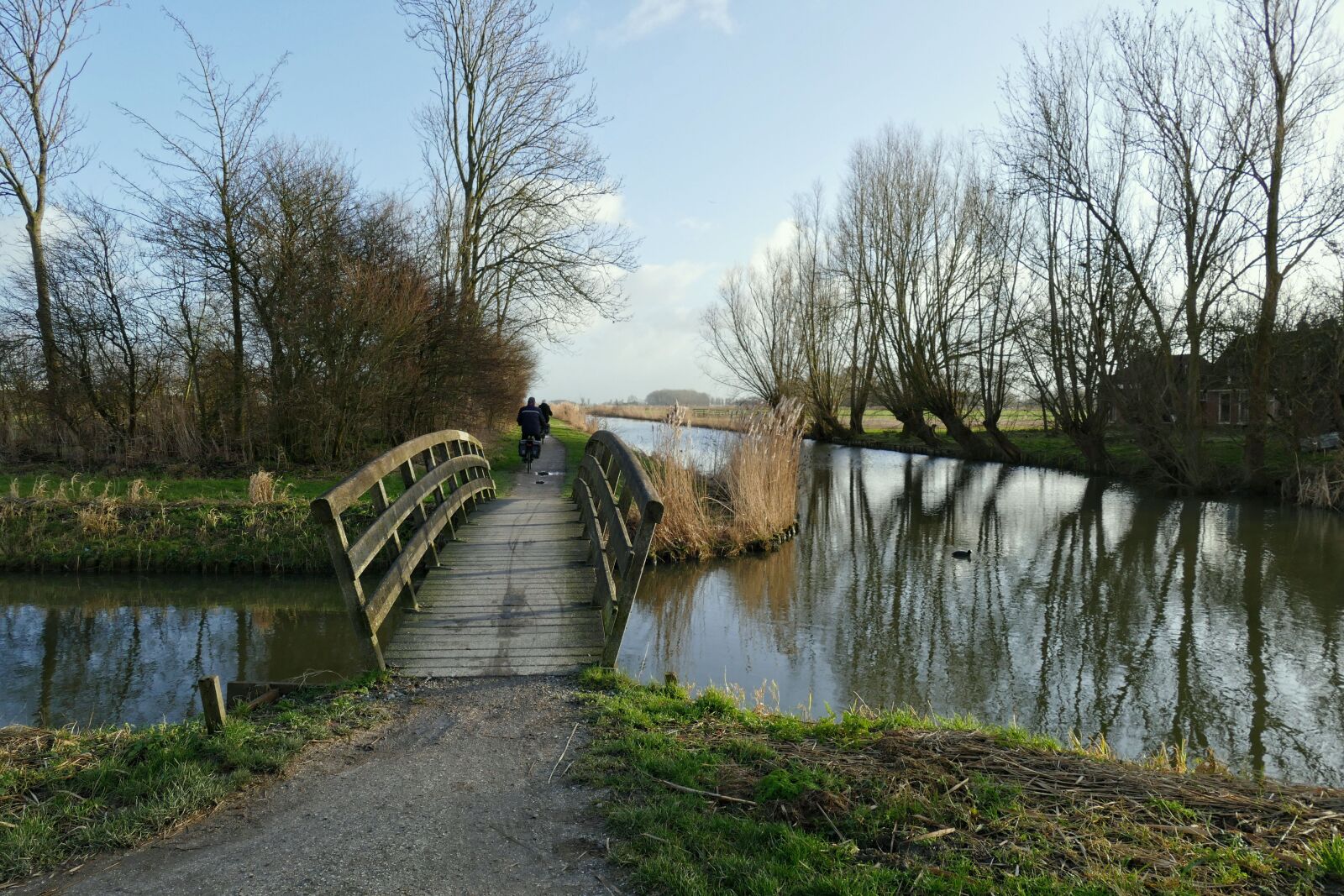 Panasonic Lumix DMC-FZ1000 sample photo. Countryside, bridge, reed photography