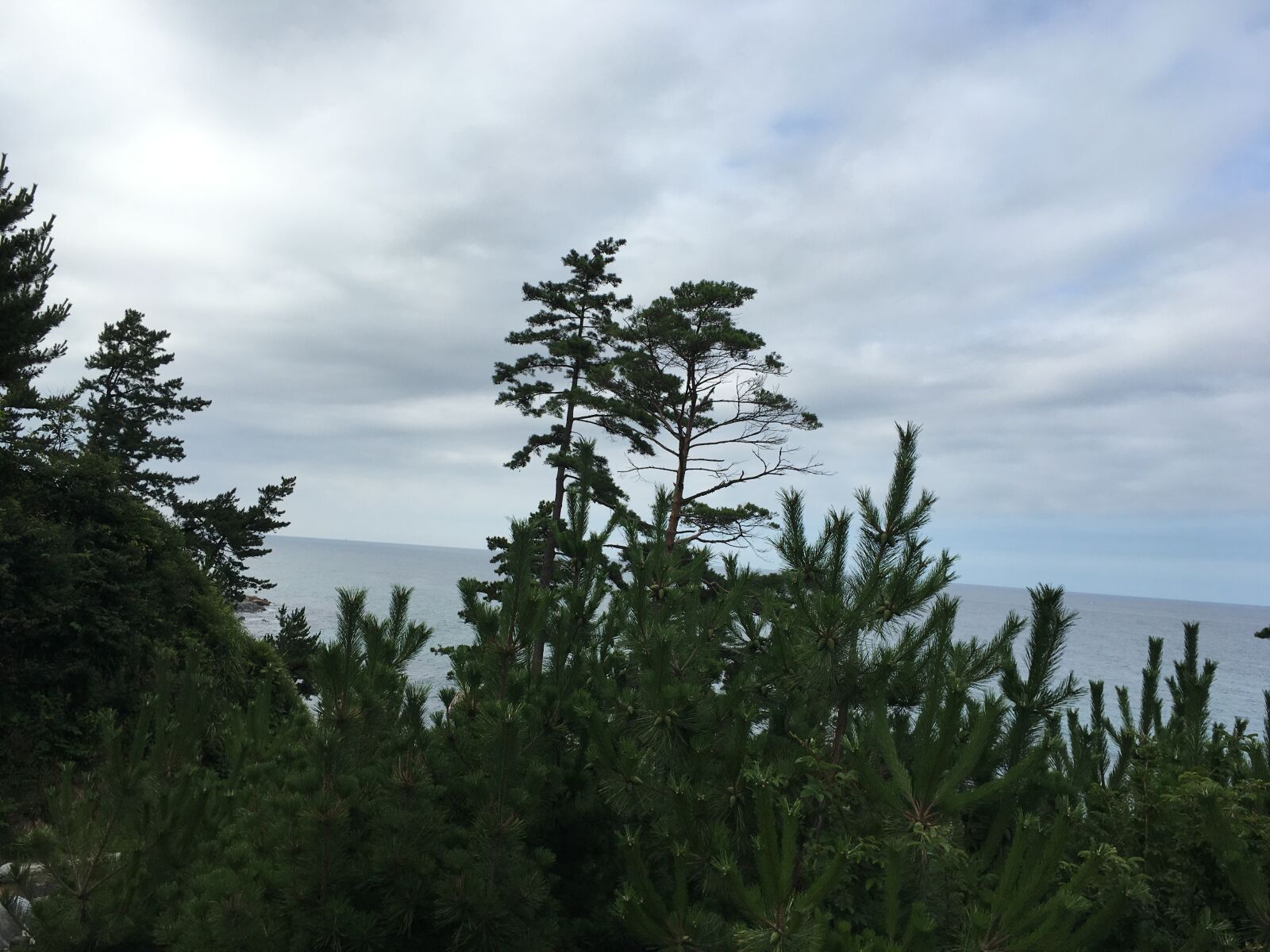 iPhone 6s back camera 4.15mm f/2.2 sample photo. Gangneung, blue sky, break photography