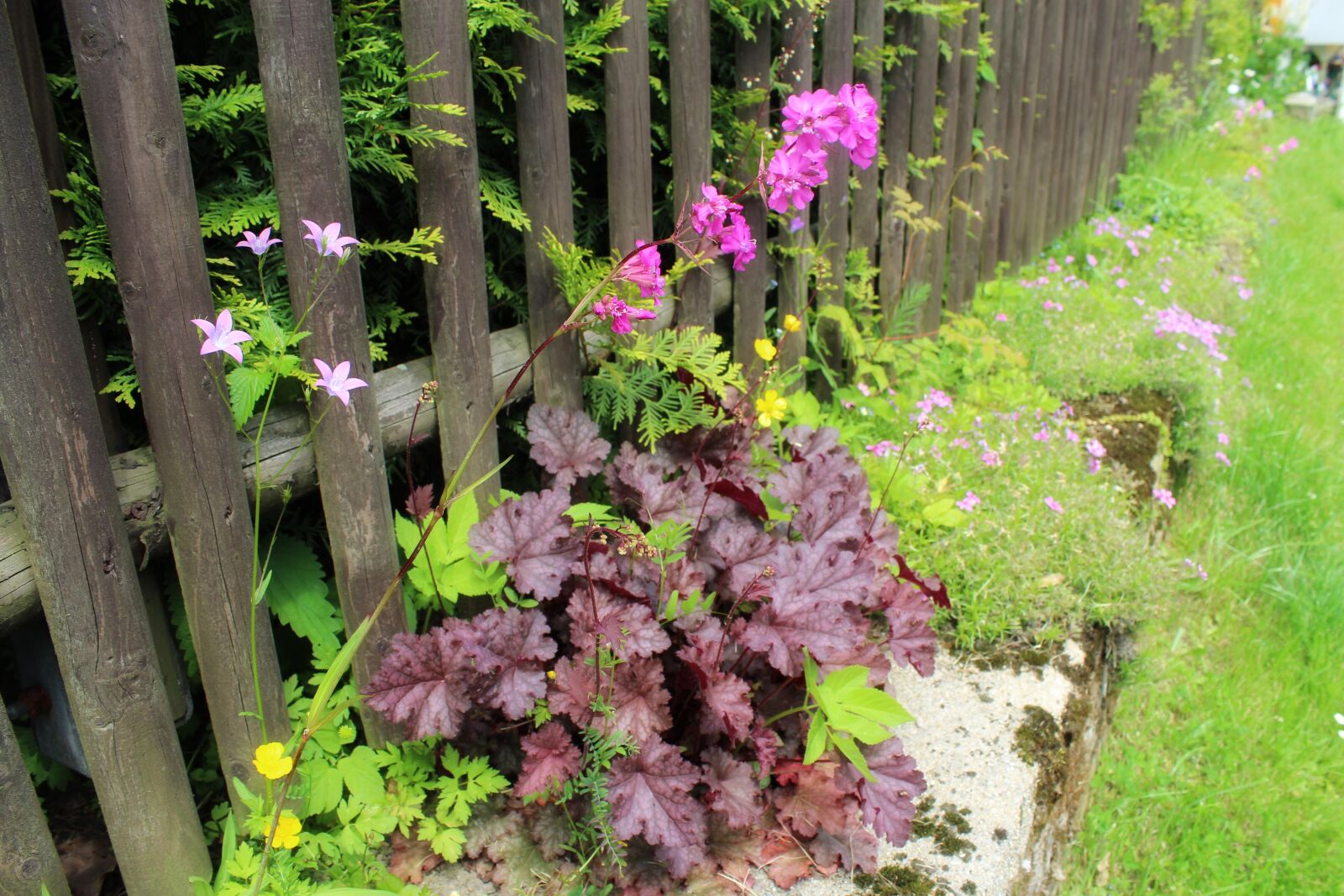 Canon EOS 600D (Rebel EOS T3i / EOS Kiss X5) sample photo. Garden, fence, fencing photography