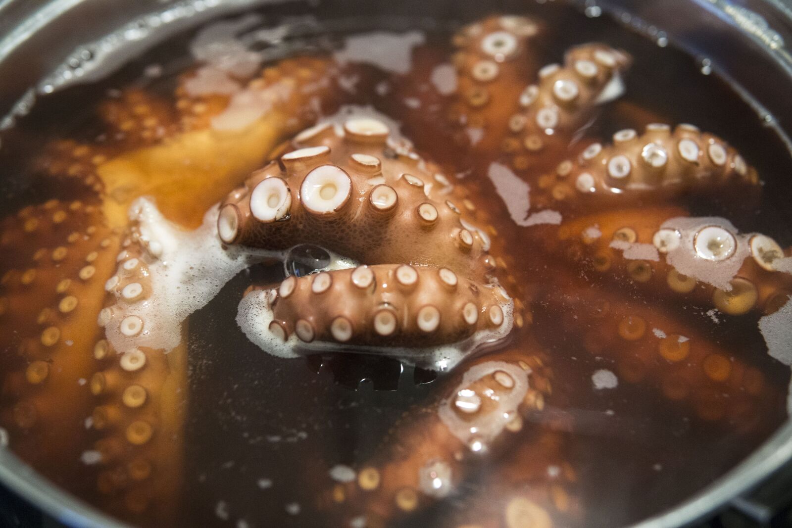 Sony a6000 sample photo. Octopus, cooking, delicious photography