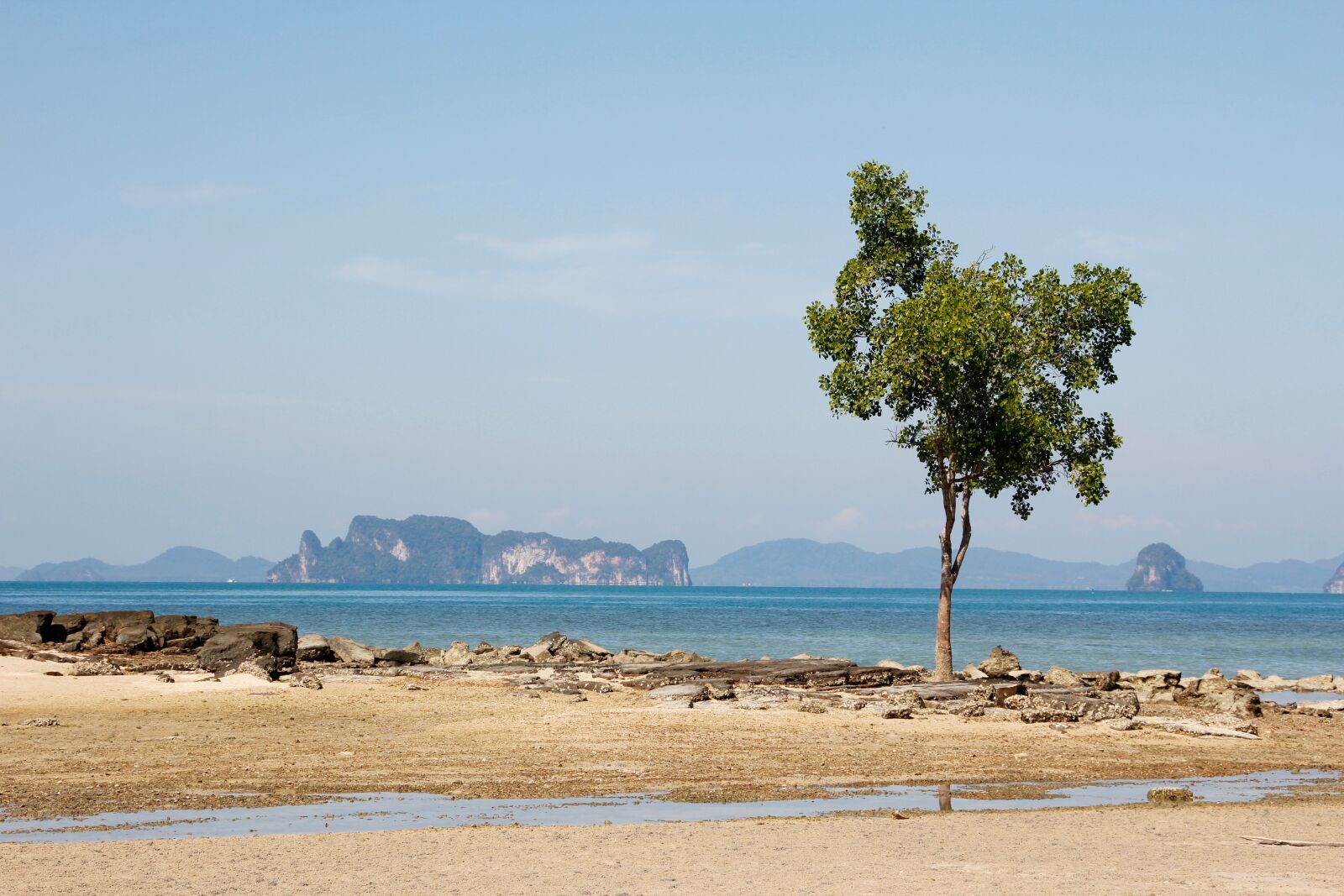 Canon EOS 60D sample photo. Beach, tree, sea photography