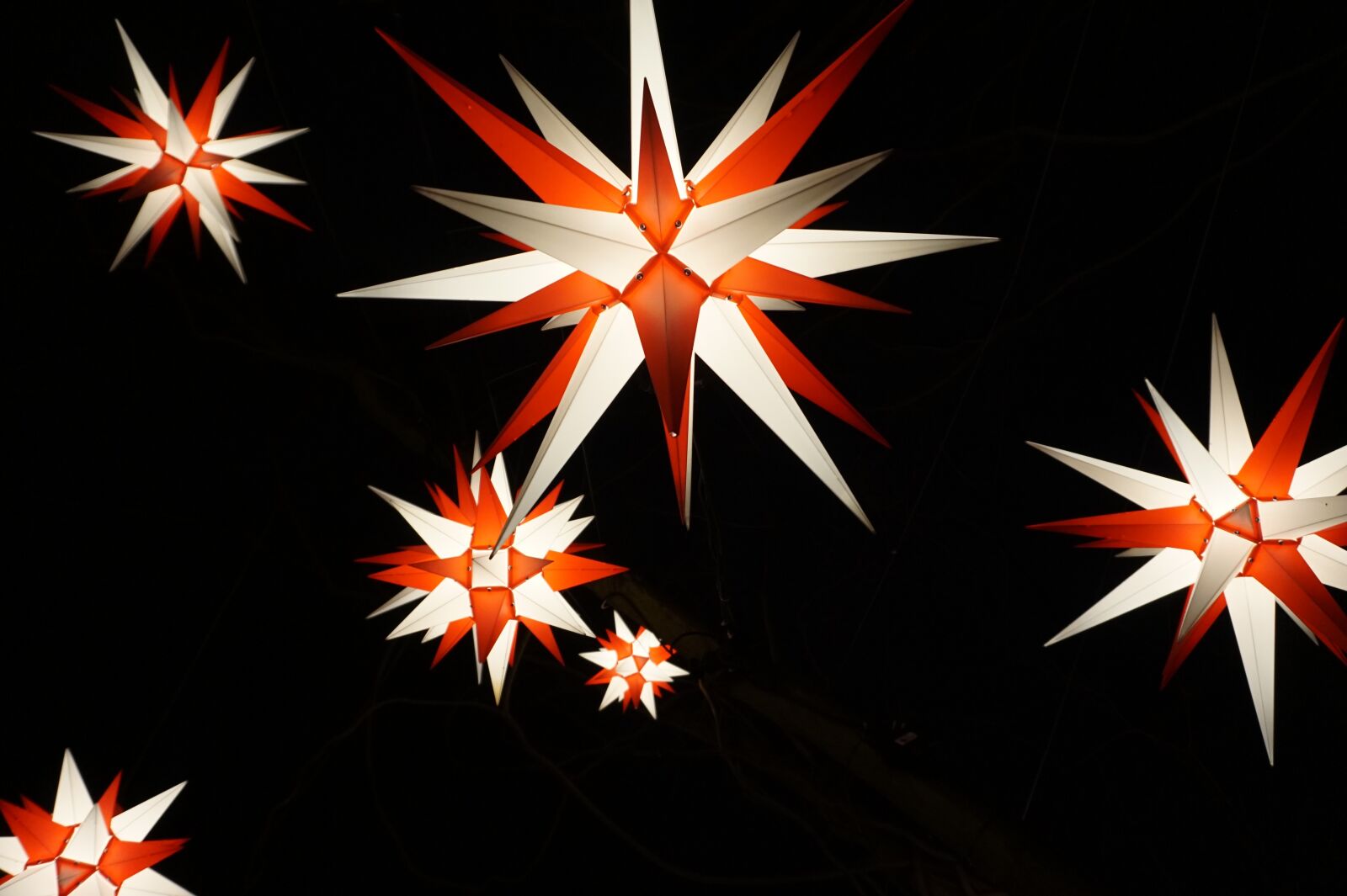 Sony Alpha a5000 (ILCE 5000) sample photo. Star, people, poinsettia photography