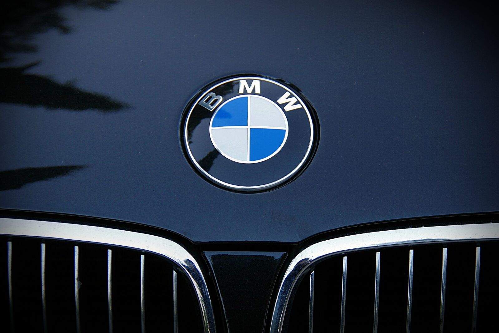 Canon EOS 20D sample photo. Bmw, car, car brand photography