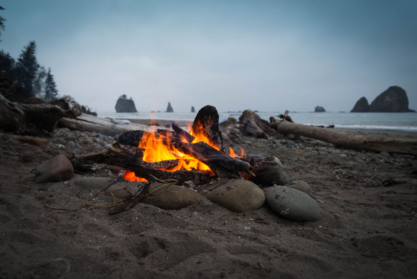 Nikon D610 sample photo. Ash, beach, bonfire, campfire photography