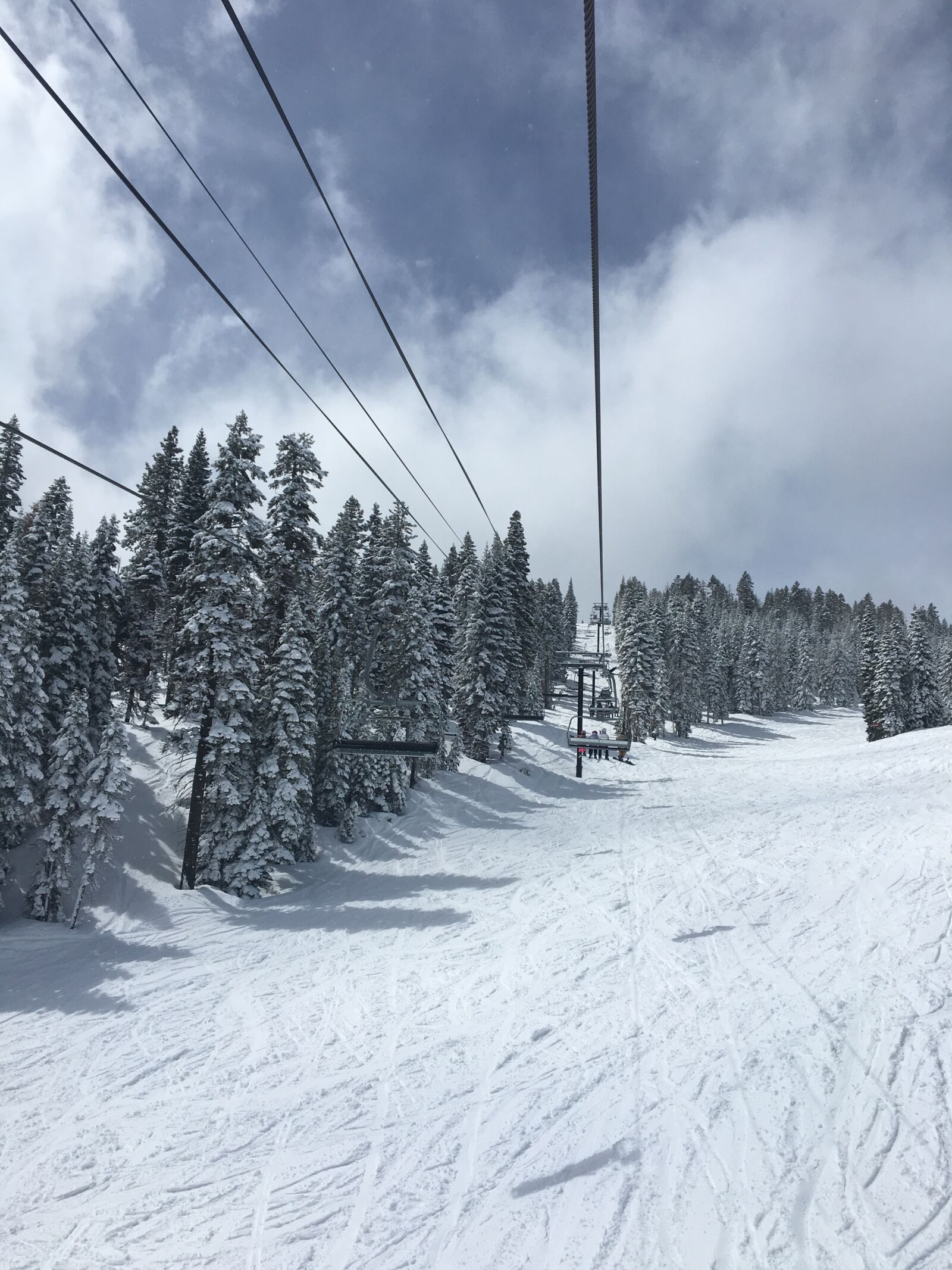 Apple iPhone 6s sample photo. Snowy, trees, landscape photography