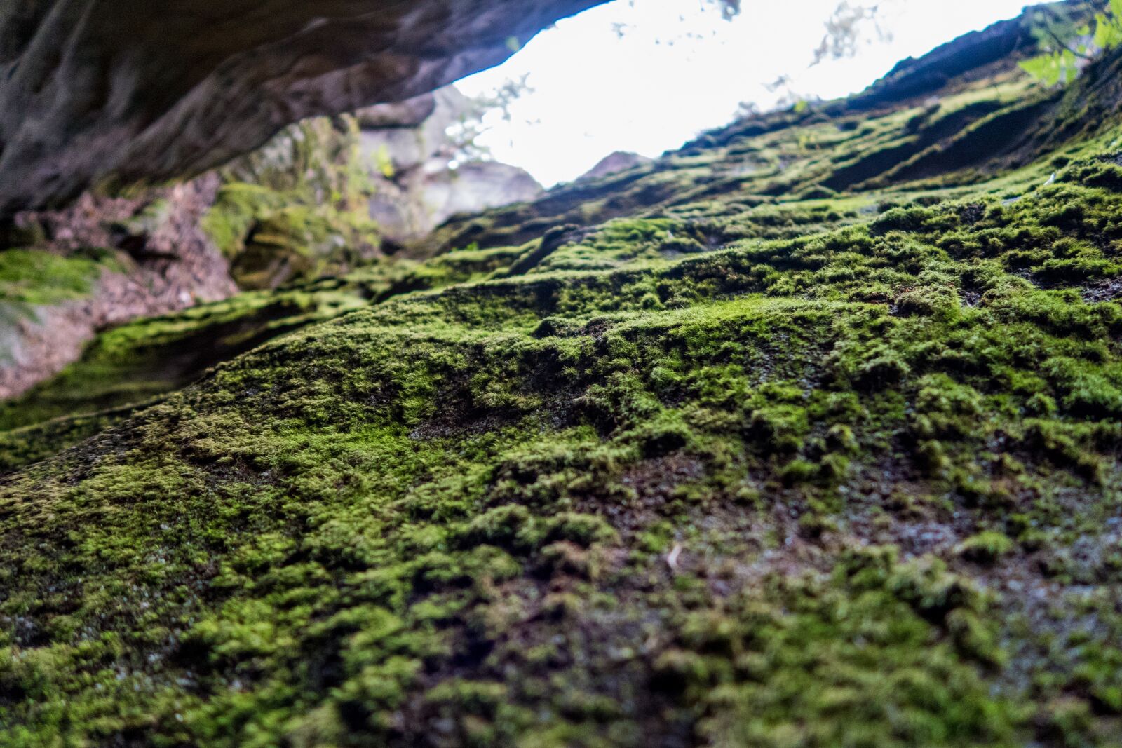 Canon PowerShot G7 X Mark II sample photo. Stone, moss, green photography