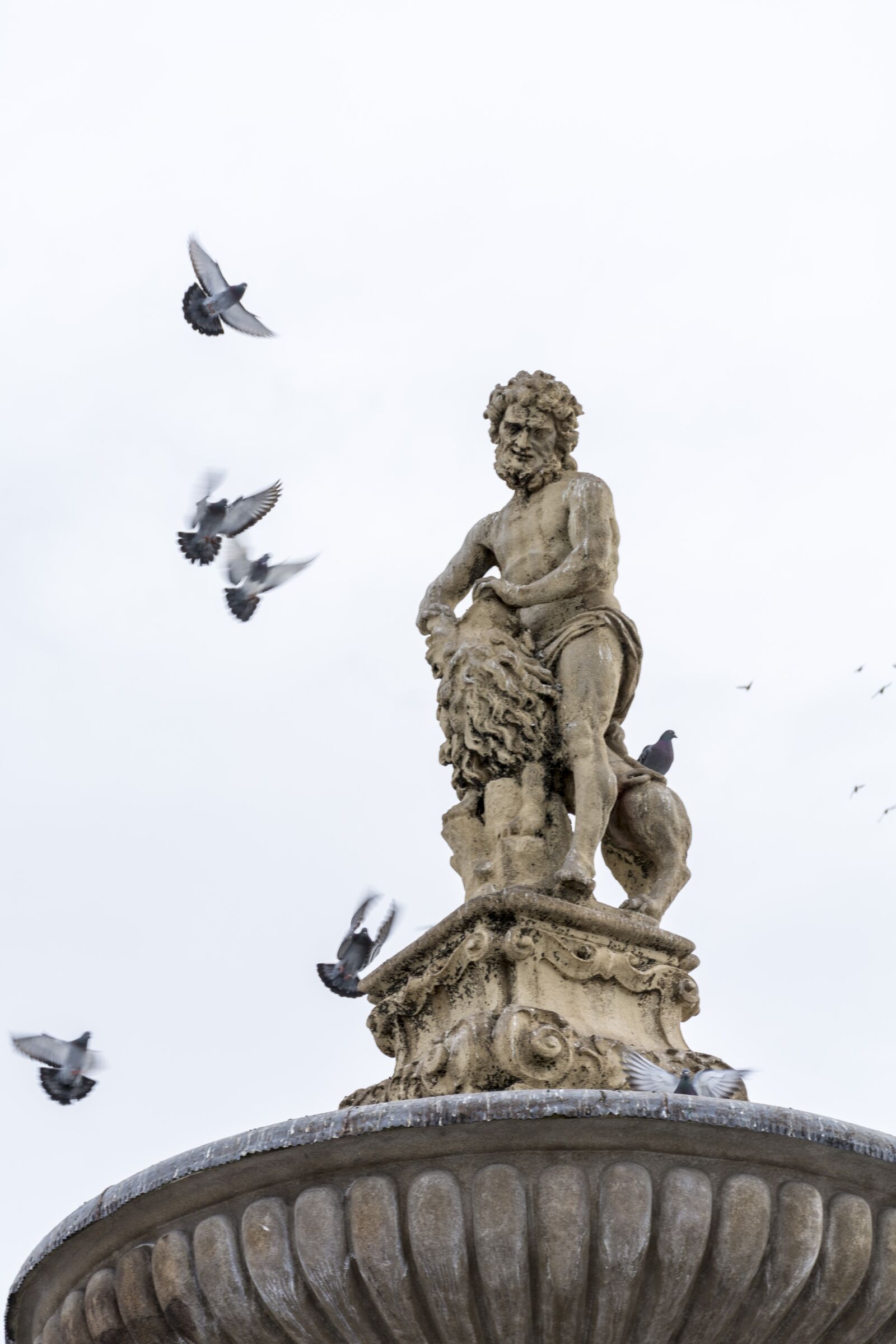 Nikon D7100 sample photo. Pigeons, statue, simple photography