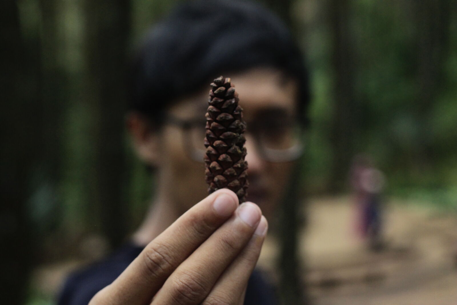 Canon EOS 1100D (EOS Rebel T3 / EOS Kiss X50) + Canon EF 50mm F1.8 STM sample photo. Forest, photography photography