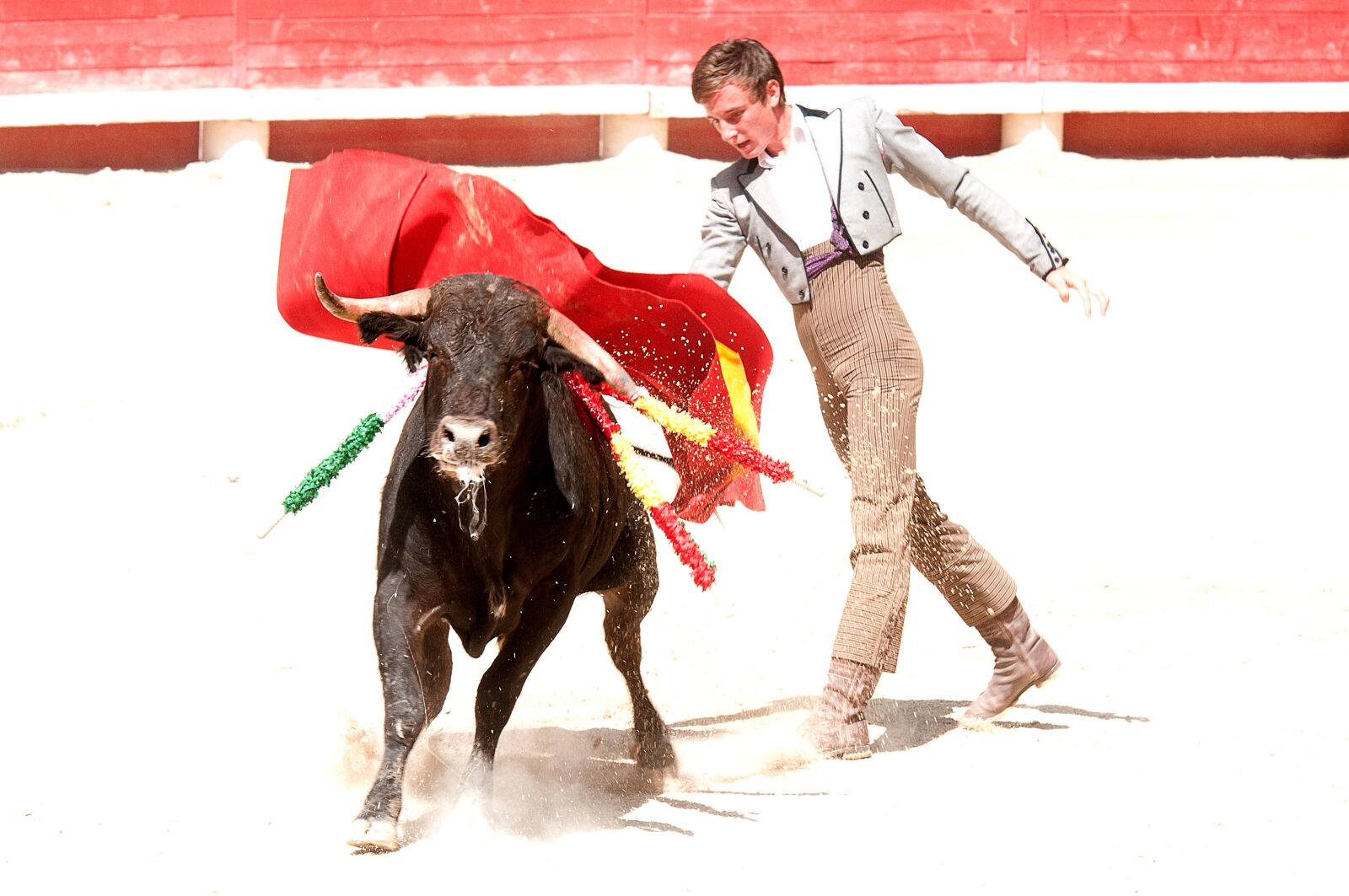 Nikon D300S sample photo. Bolsin, bullfight, bull photography