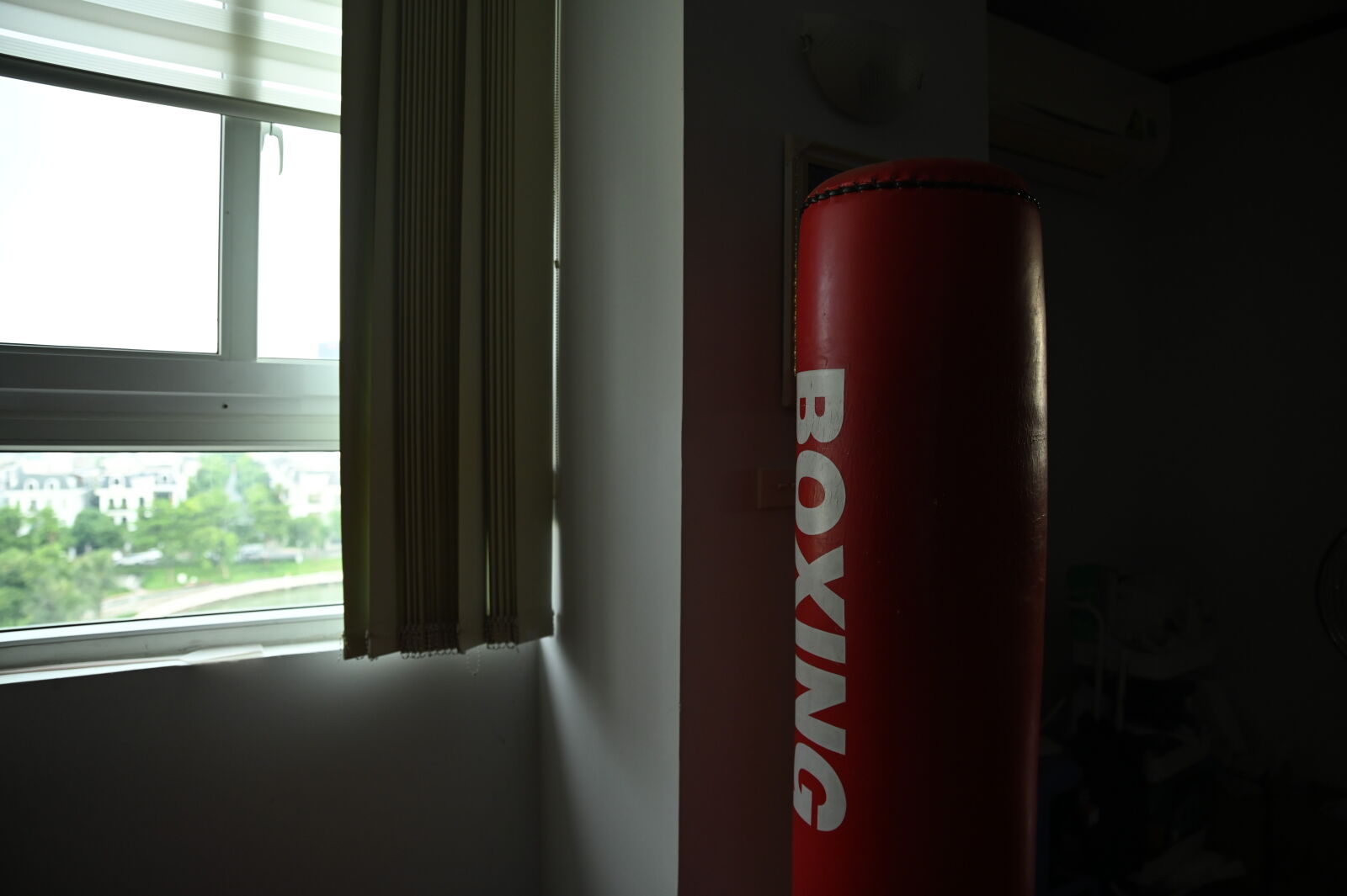 Nikon D780 sample photo