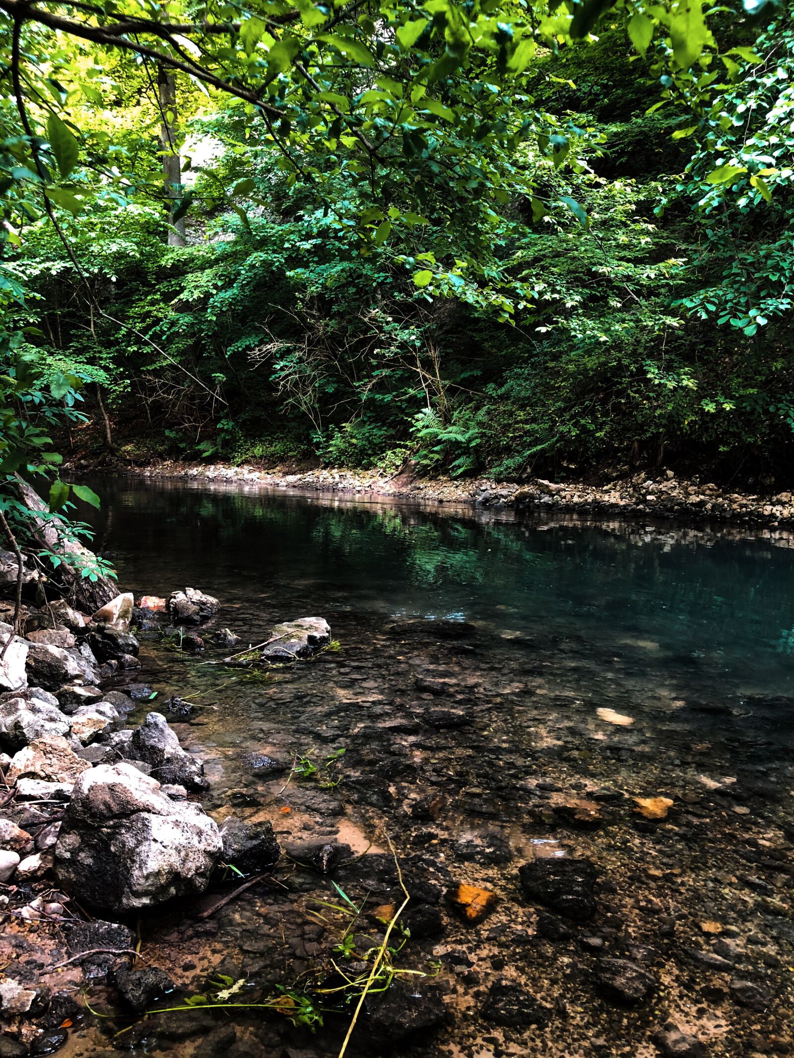 iPhone 8 back camera 3.99mm f/1.8 sample photo. Lauchert, river, forest photography