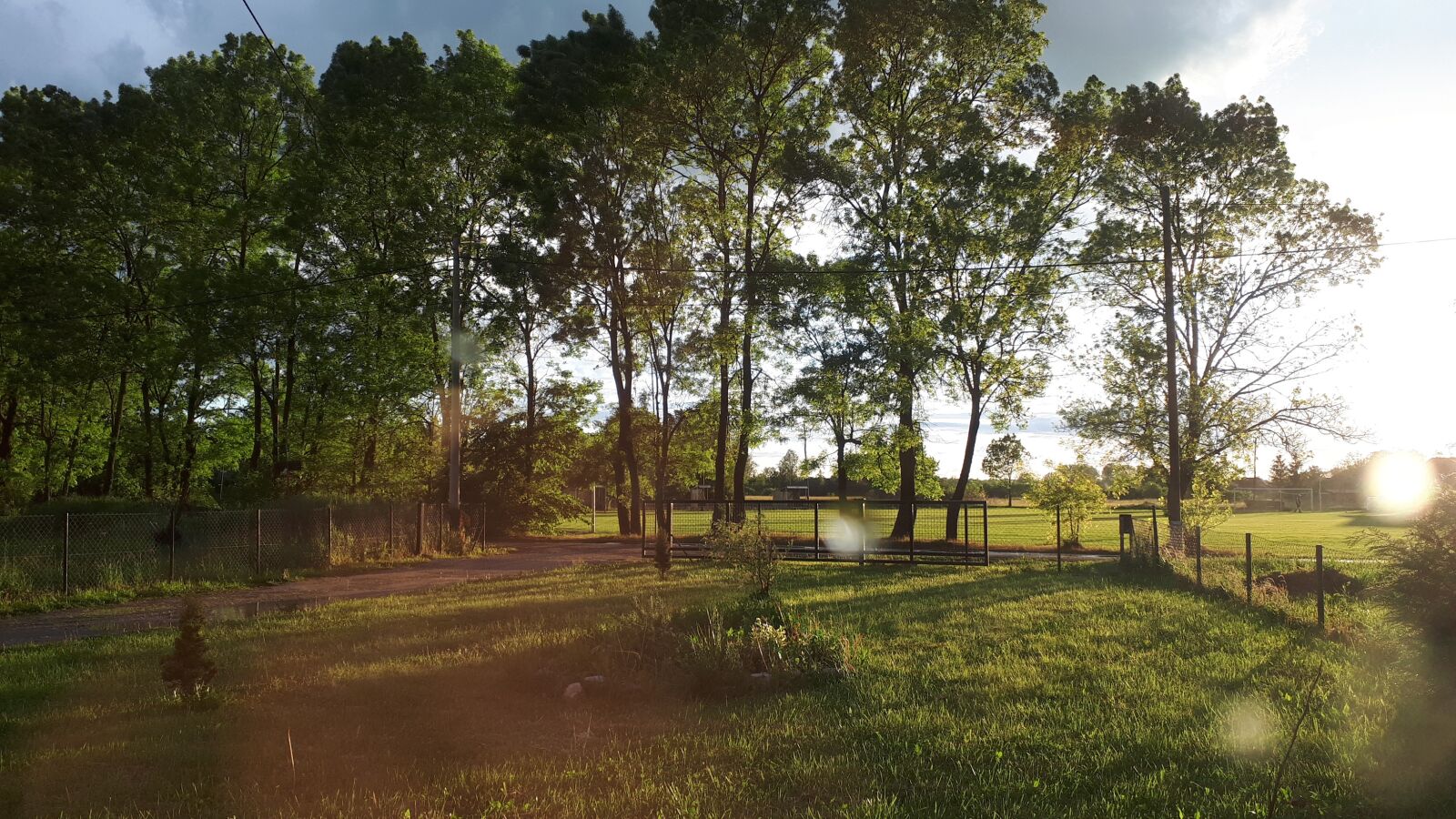 Samsung Galaxy A5(2017) sample photo. Trees, sun, grass photography