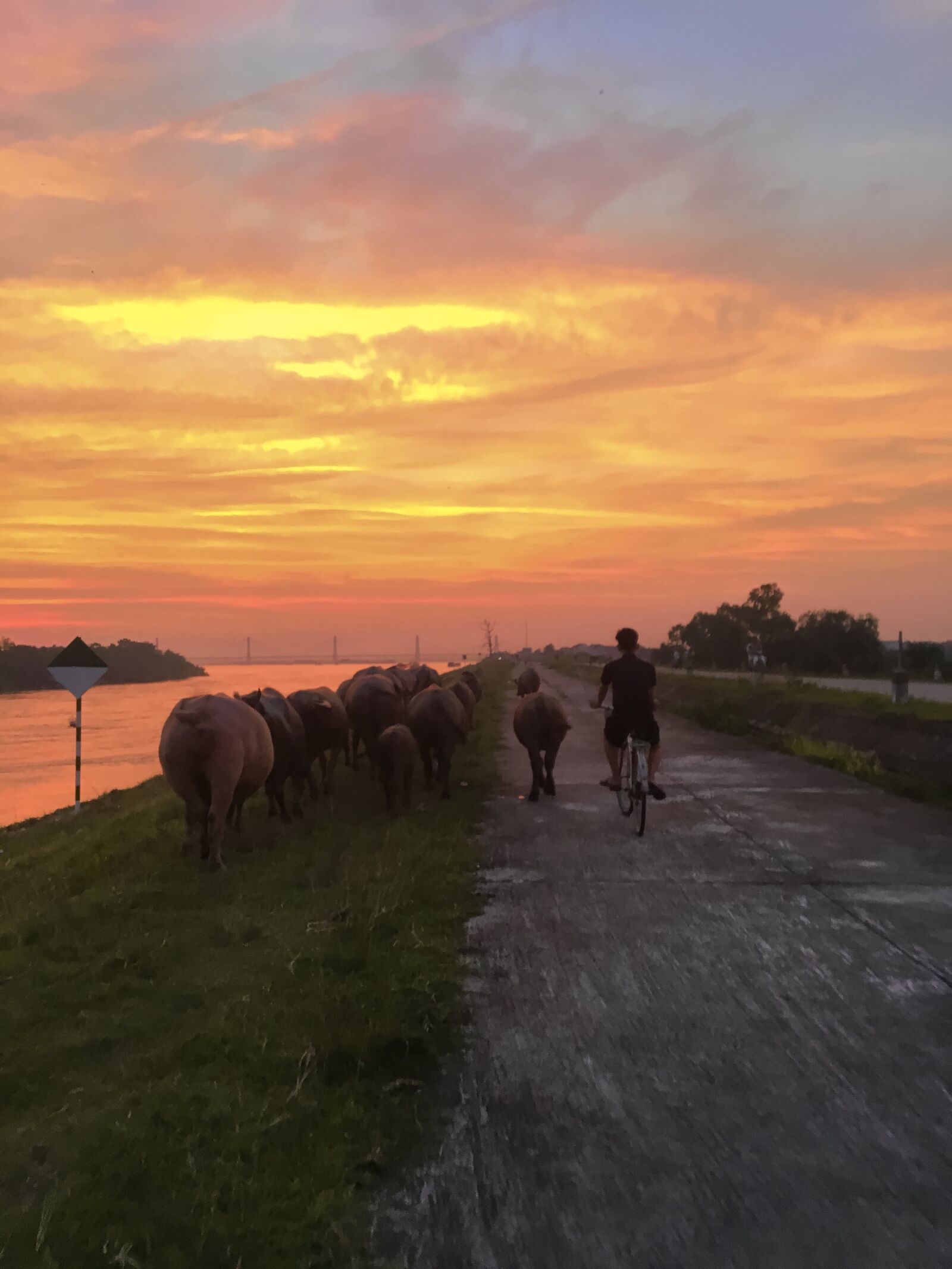 iPhone 6s back camera 4.15mm f/2.2 sample photo. Vietnam, ha noi, river photography