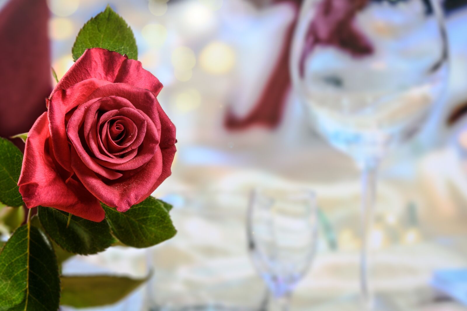 Nikon D750 sample photo. Dinner, red rose, love photography